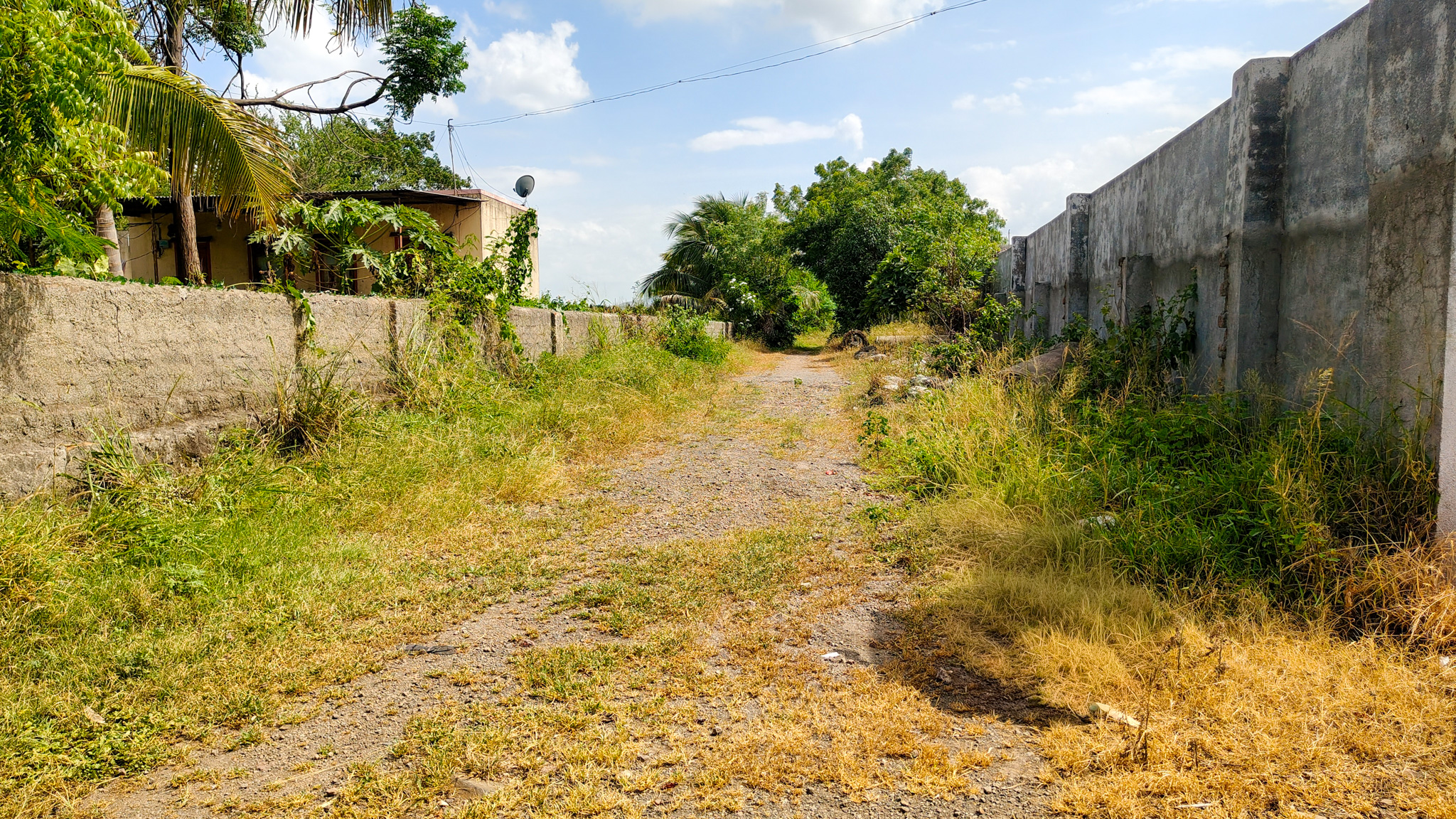 3000 square meter Industrail land with shed for sale in Paud — photo 14