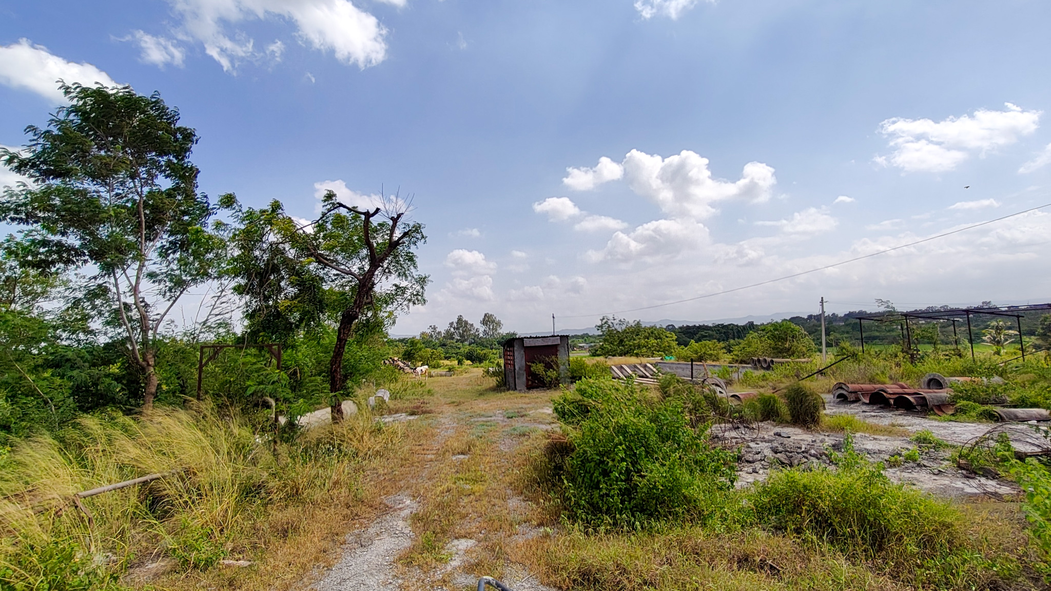 3000 square meter Industrail land with shed for sale in Paud — photo 9
