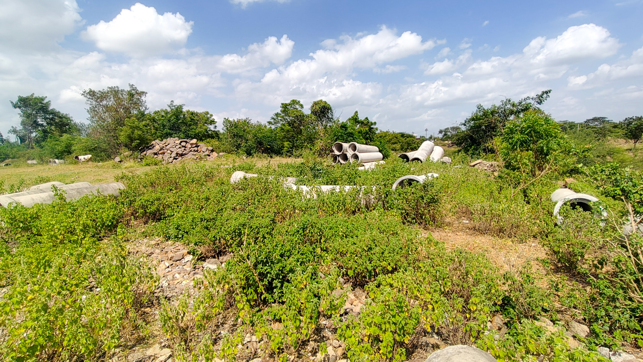 3000 square meter Industrail land with shed for sale in Paud — photo 6