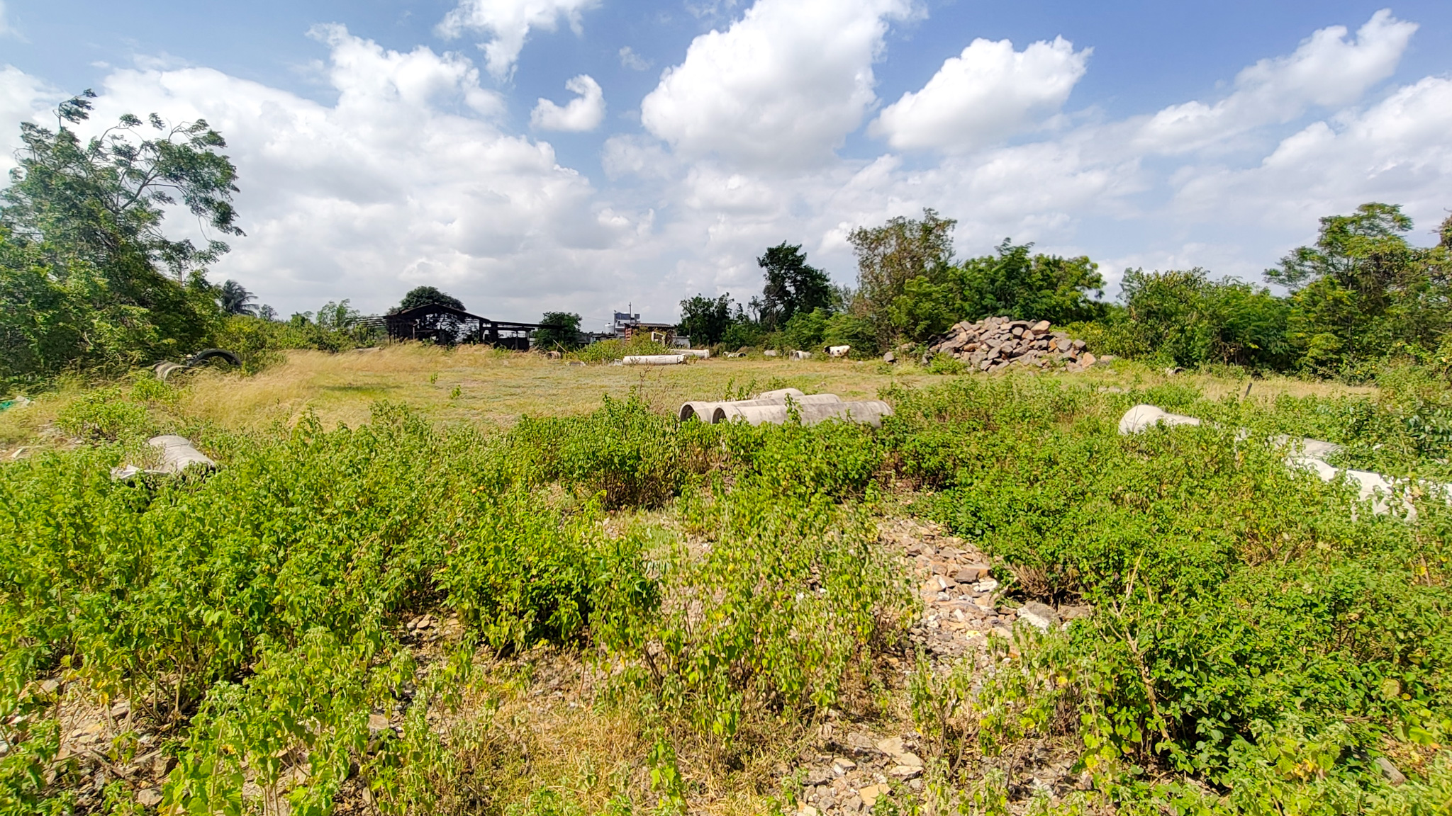 3000 square meter Industrail land with shed for sale in Paud — photo 7