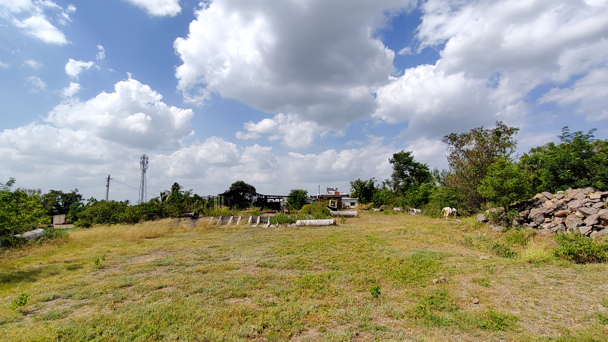 3000 square meter Industrail land with shed for sale in Paud — photo 10