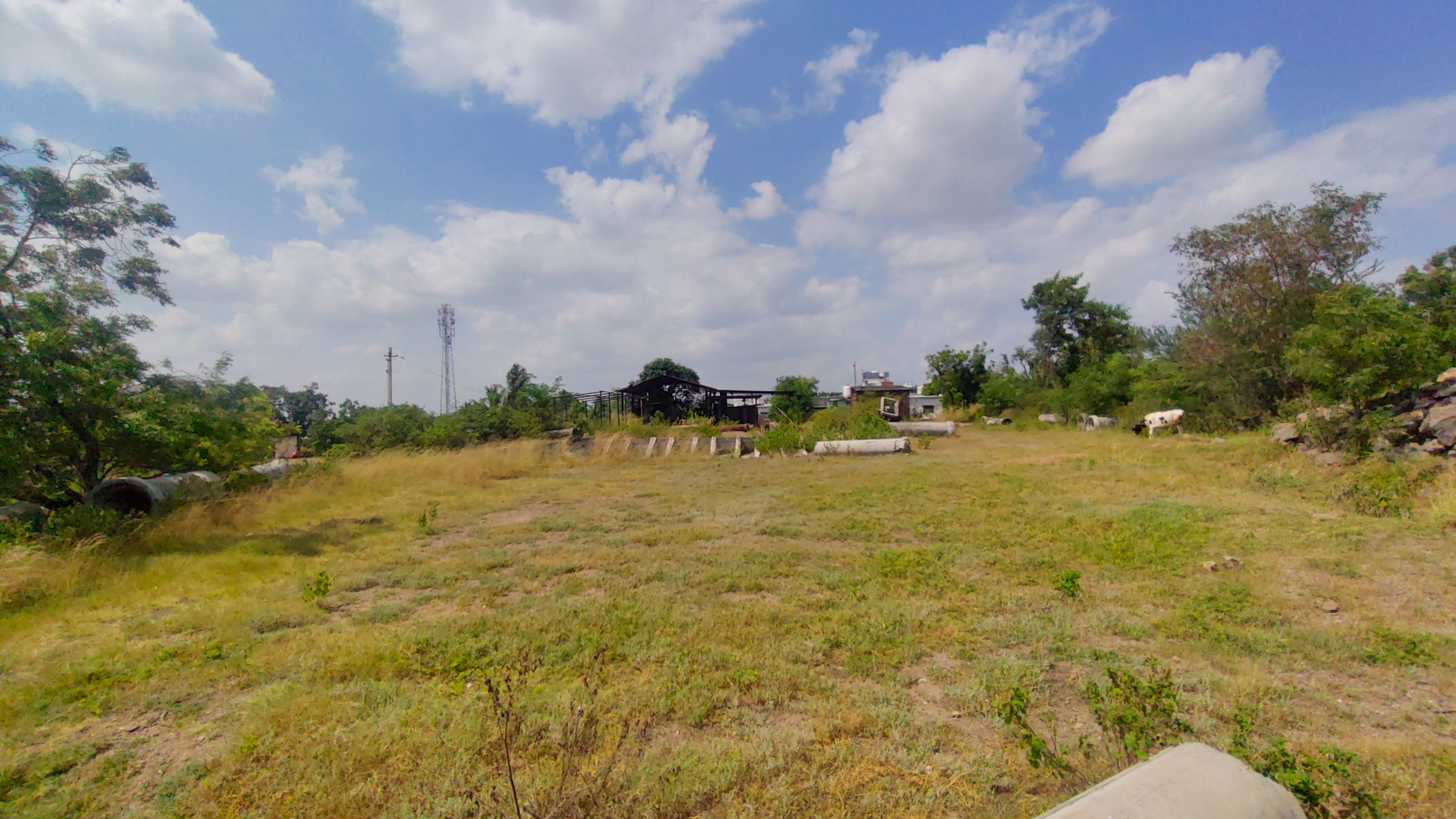 3000 square meter Industrail land with shed for sale in Paud — photo 4