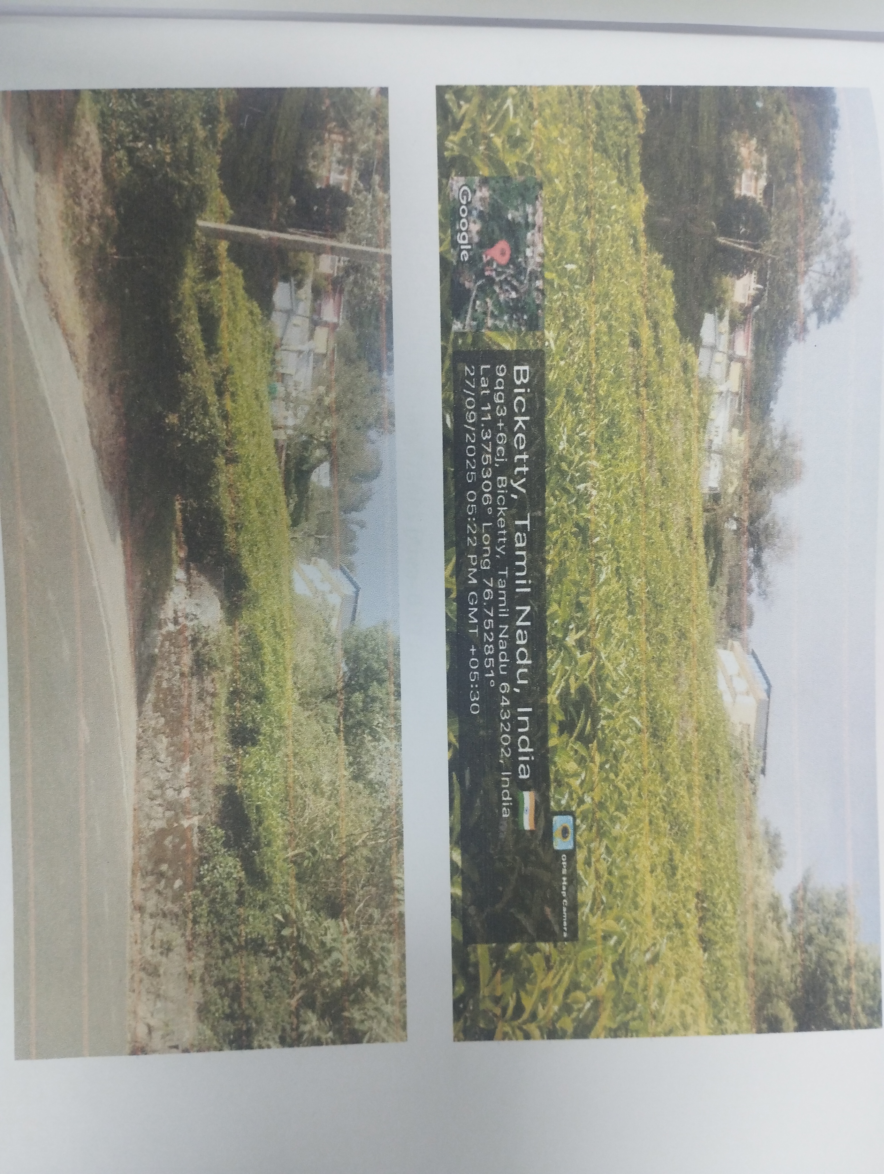 Tea plantation for sale in Periya Bikkaty Aravankad TS