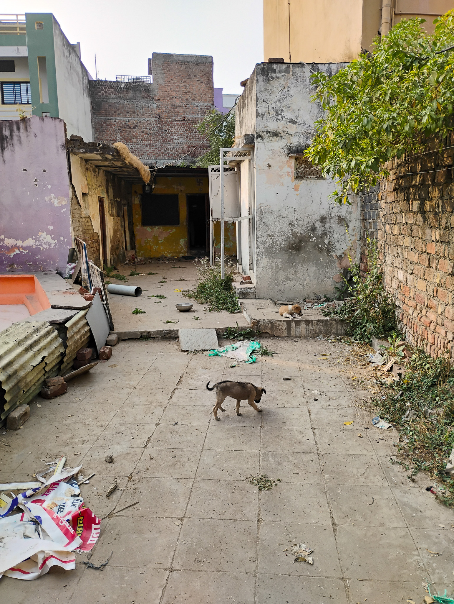 Individual House for sale in badnawar Badnawar