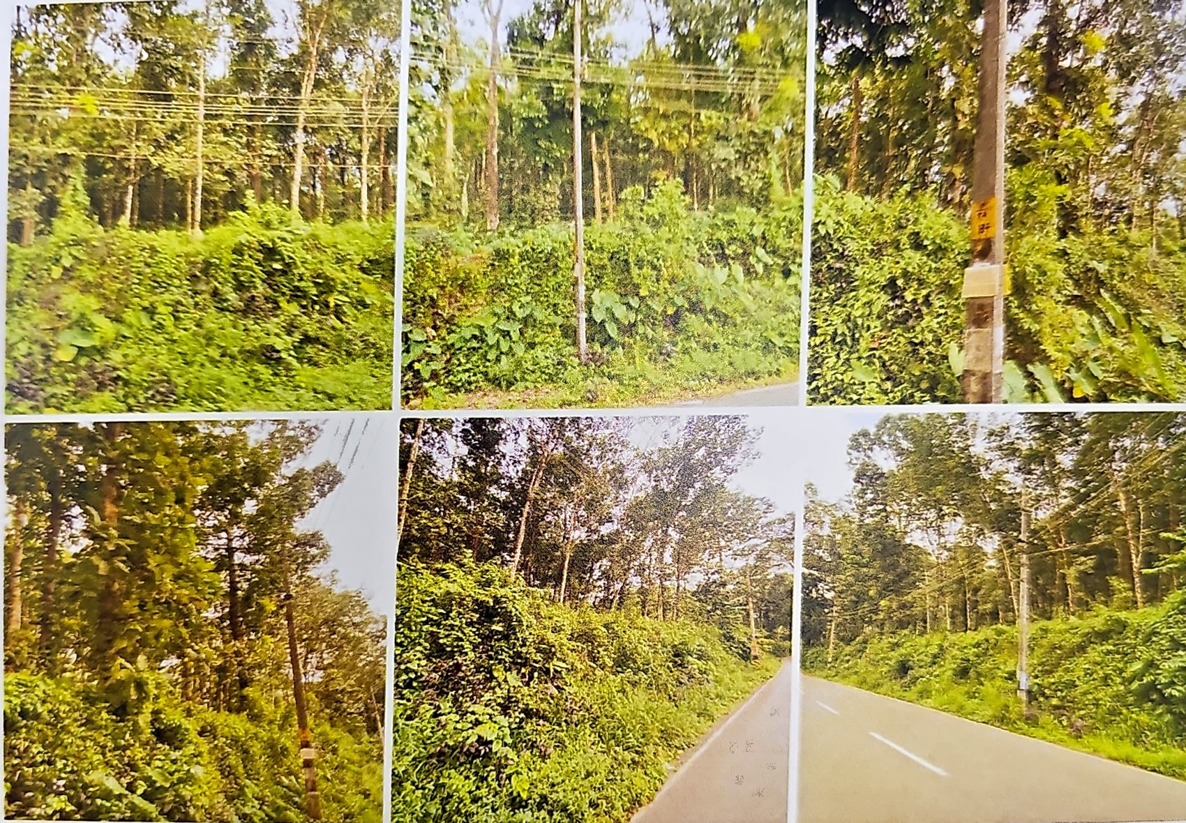 LAND ONLY for sale in Kanjirappally