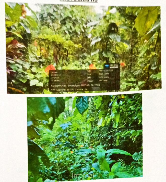 Plot for sale in Perumbavoor