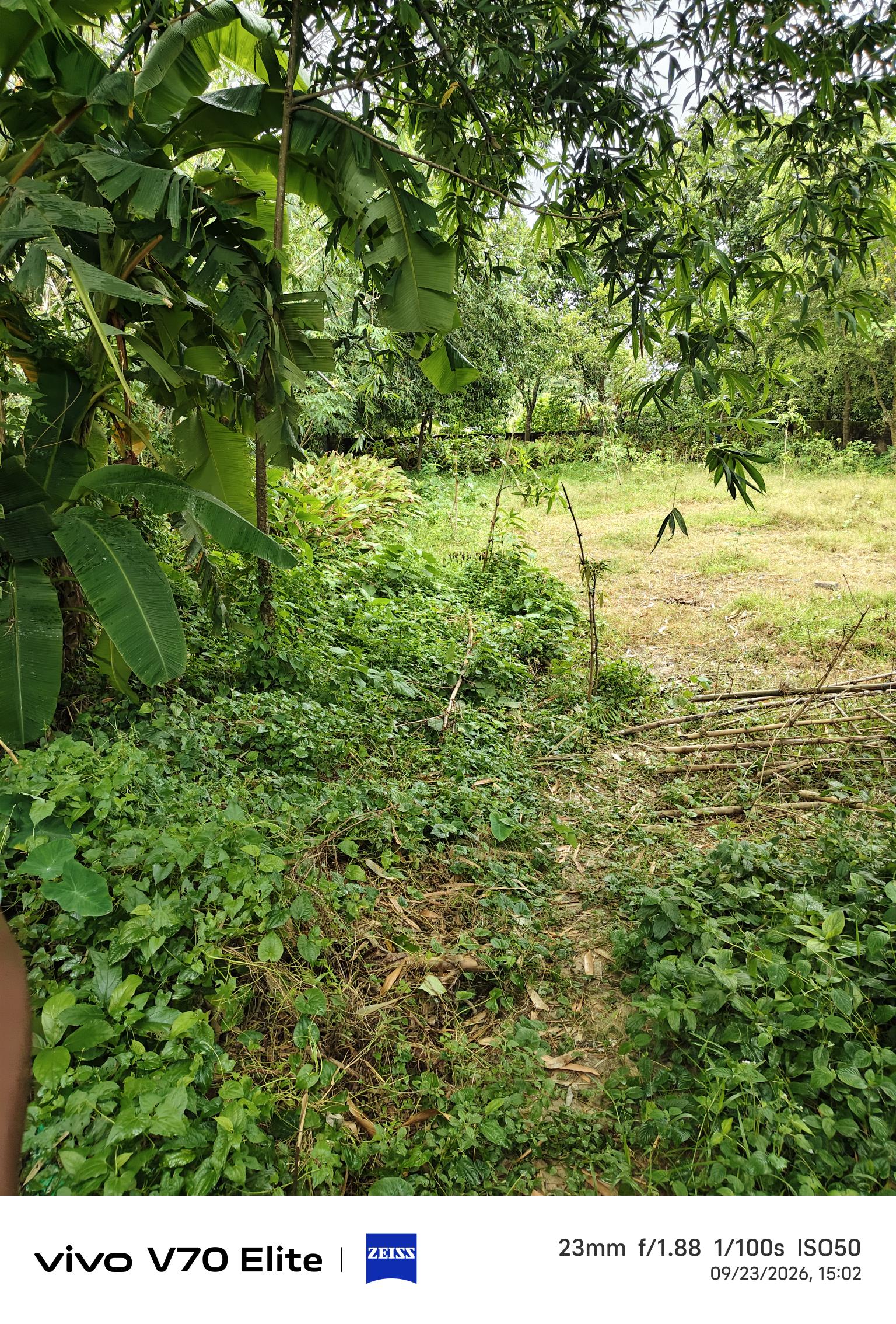 Individual House for sale in Malda — photo 2