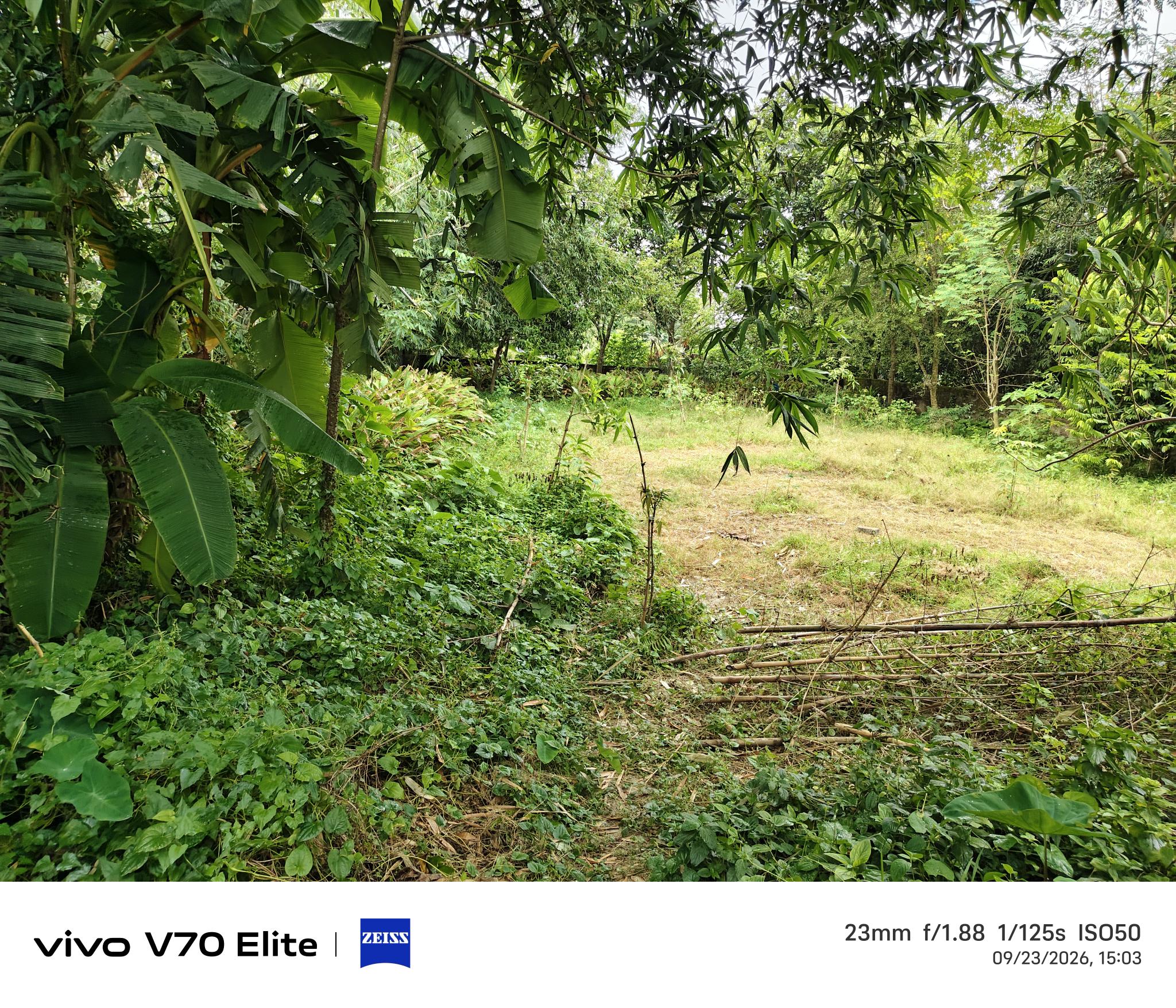 Individual House for sale in Malda — photo 3