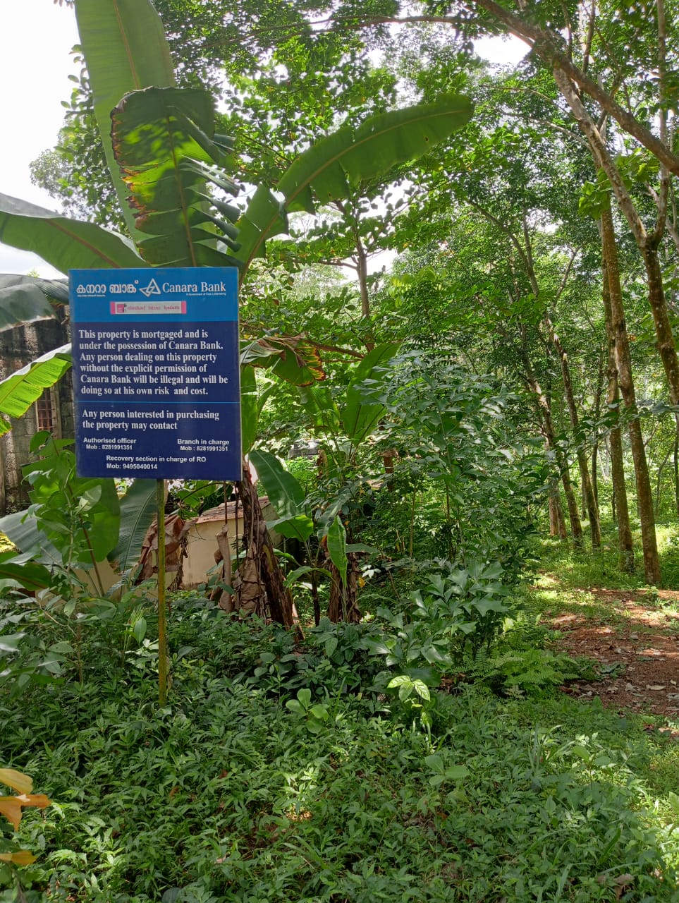 Plot for sale in ANAVOOR VILLAGE Neyyattinkara