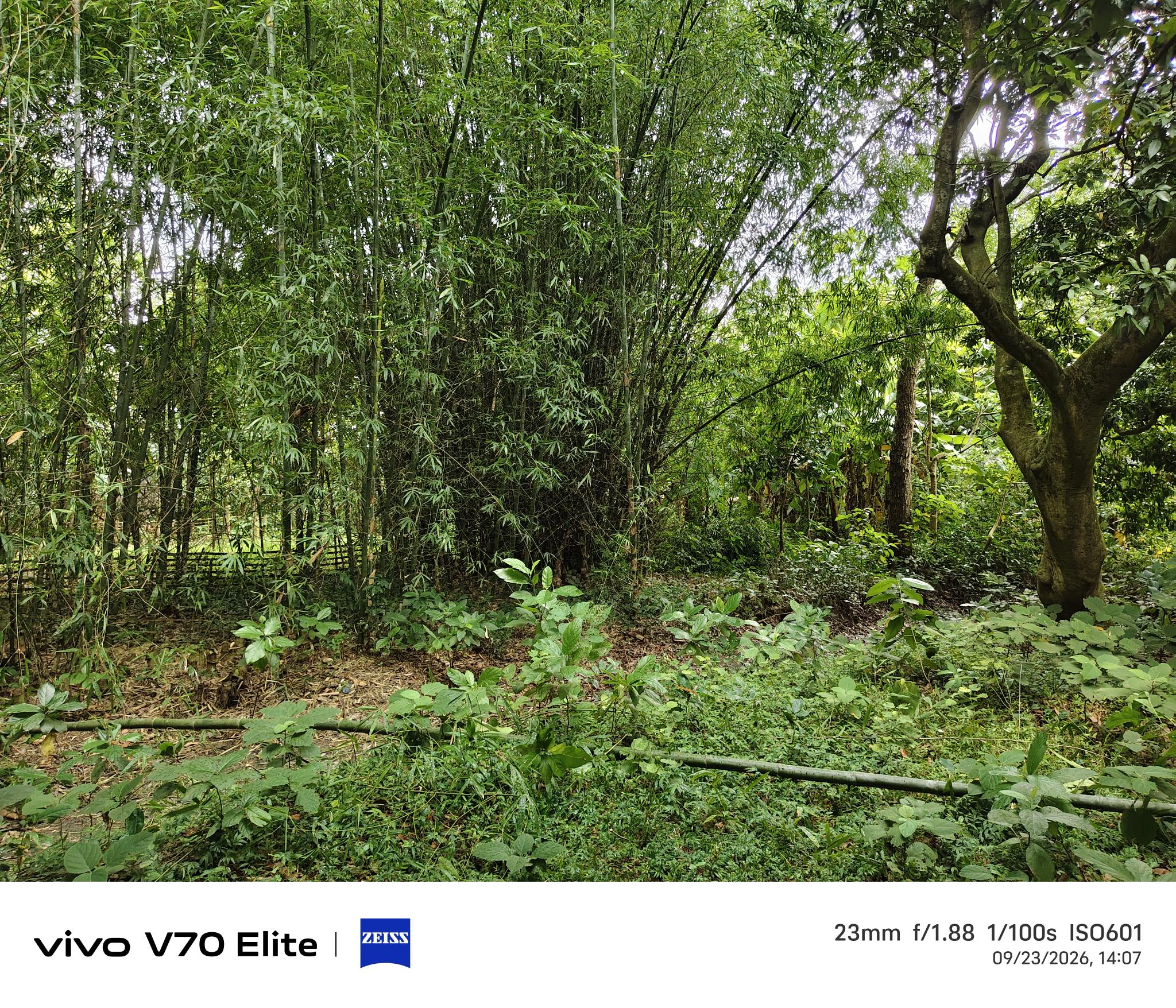 Individual House for sale in Malda — photo 2