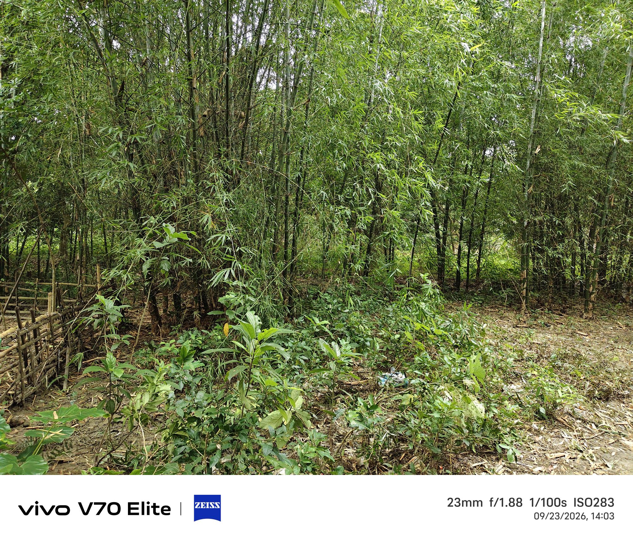 Individual House for sale in Malda — photo 3