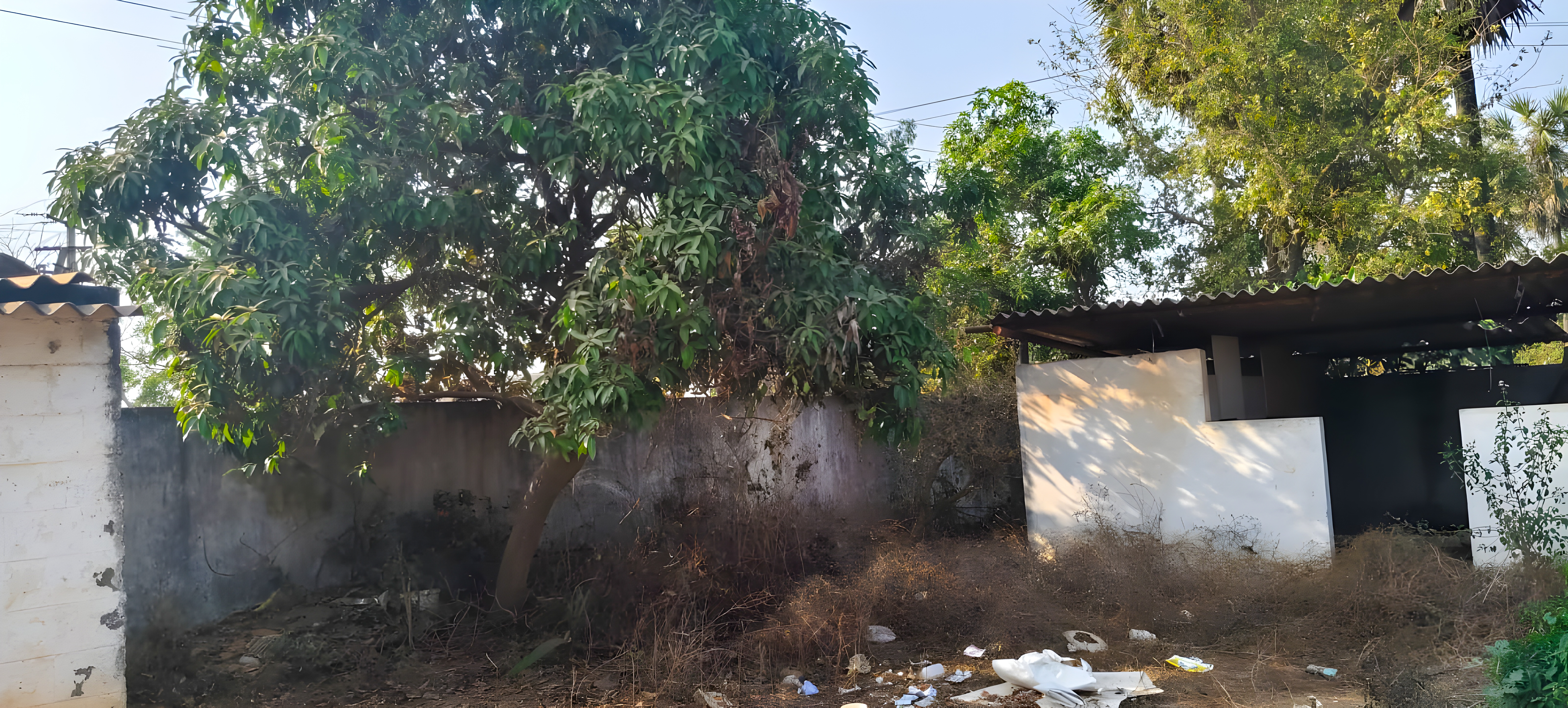 Shed with Plant and Machinery for sale in UNGUTURU Chebrole Khandrika — photo 3