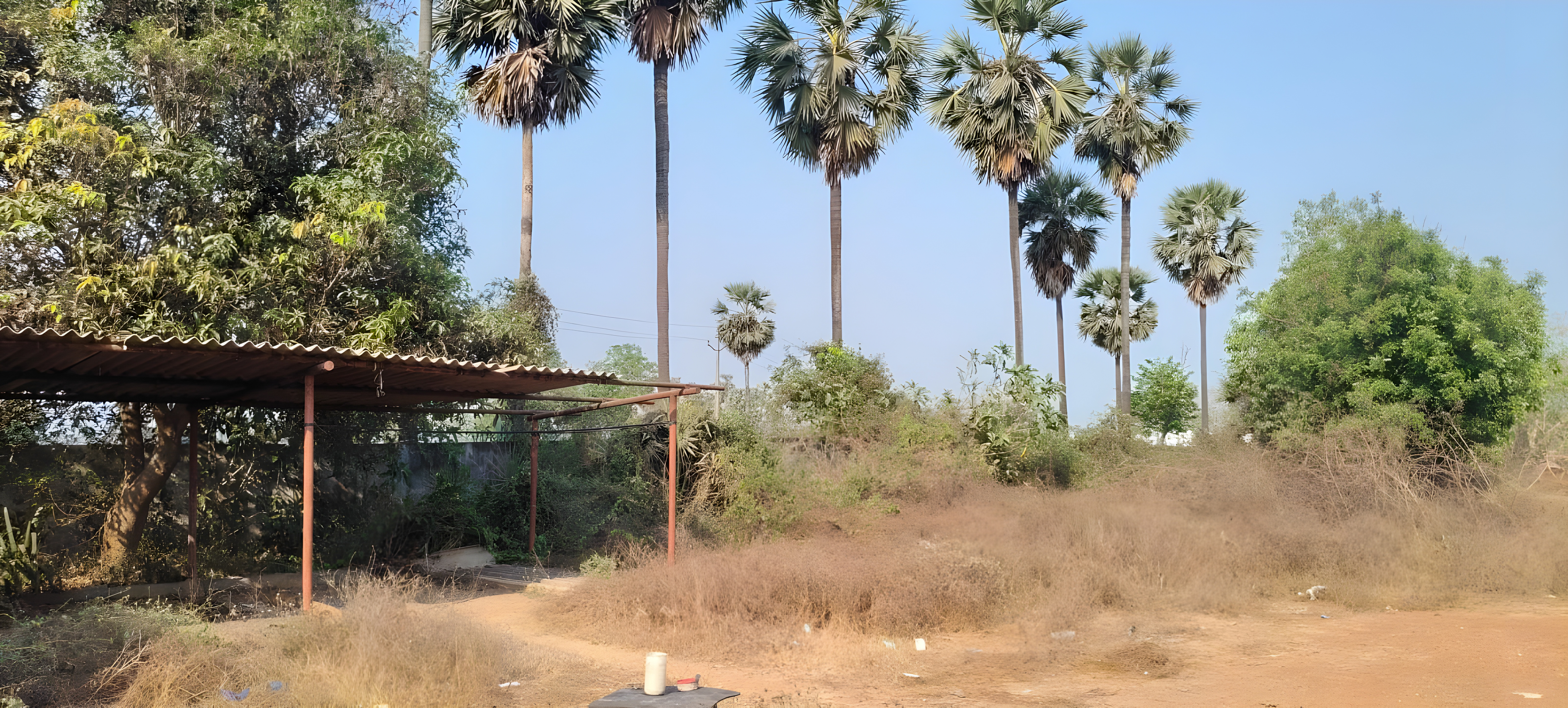 Shed with Plant and Machinery for sale in UNGUTURU Chebrole Khandrika — photo 6