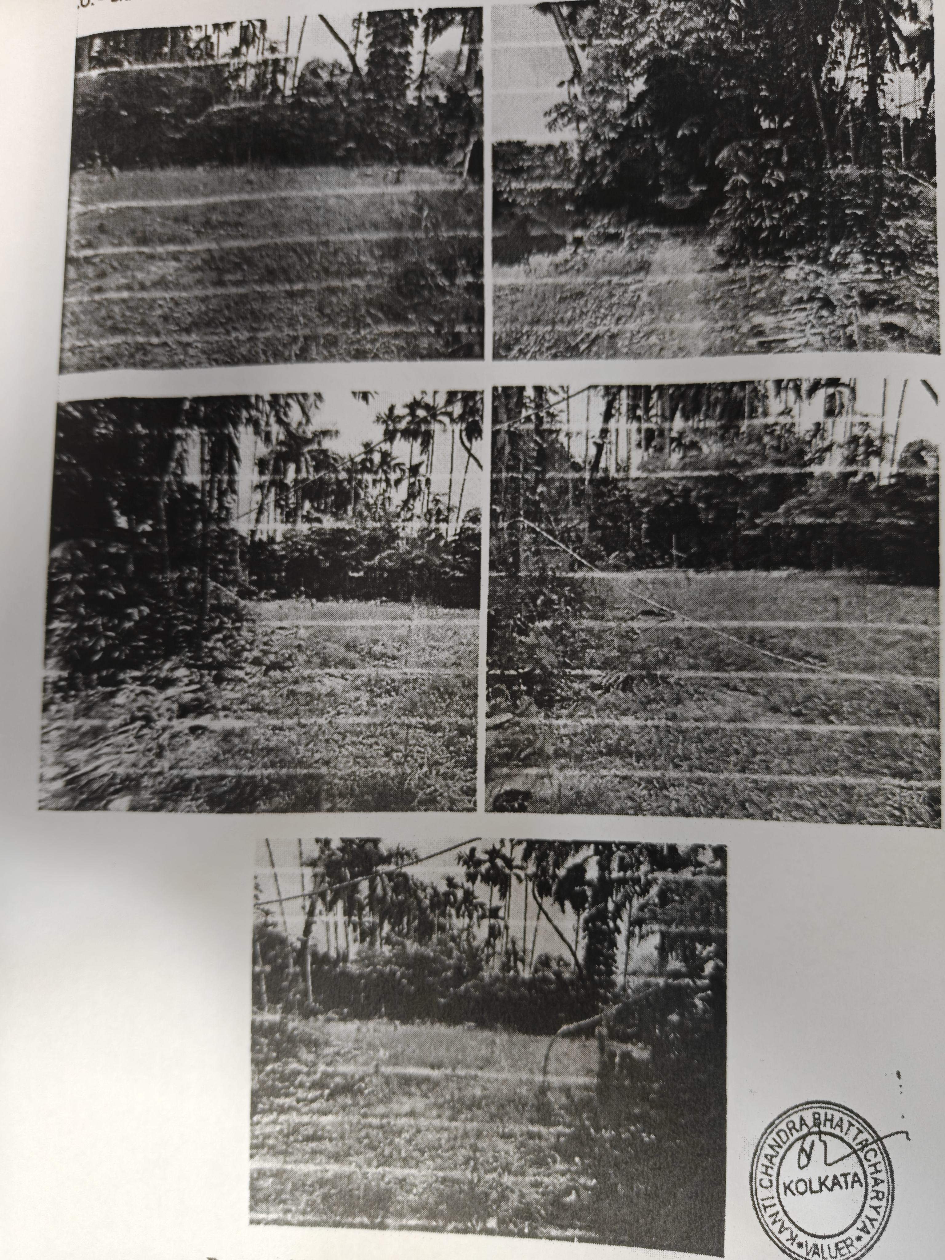 5662.8 square feet Plot for sale in NEAR TO RAJPUR MONDAL PARA RADHA KRISHNA MANDIR Patharberia — photo 3