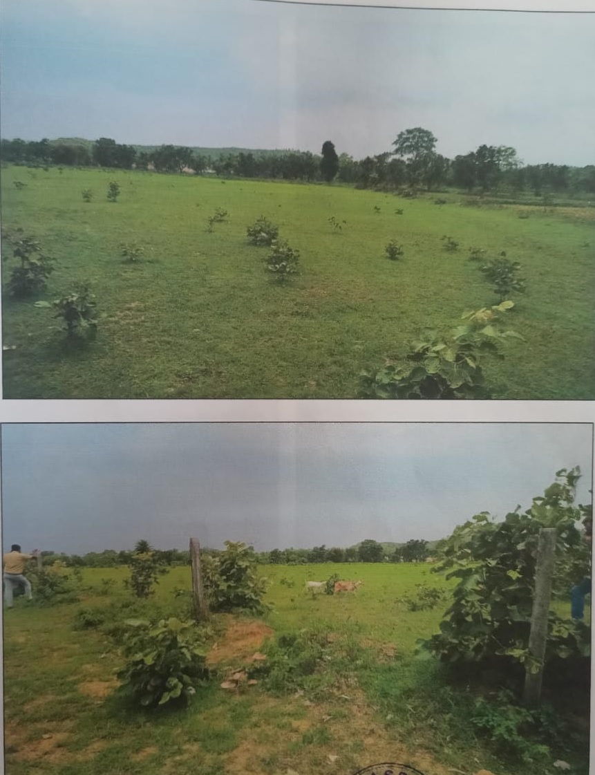 Plot for sale in LALBURRA BALAGHAT MP Garra — photo 2