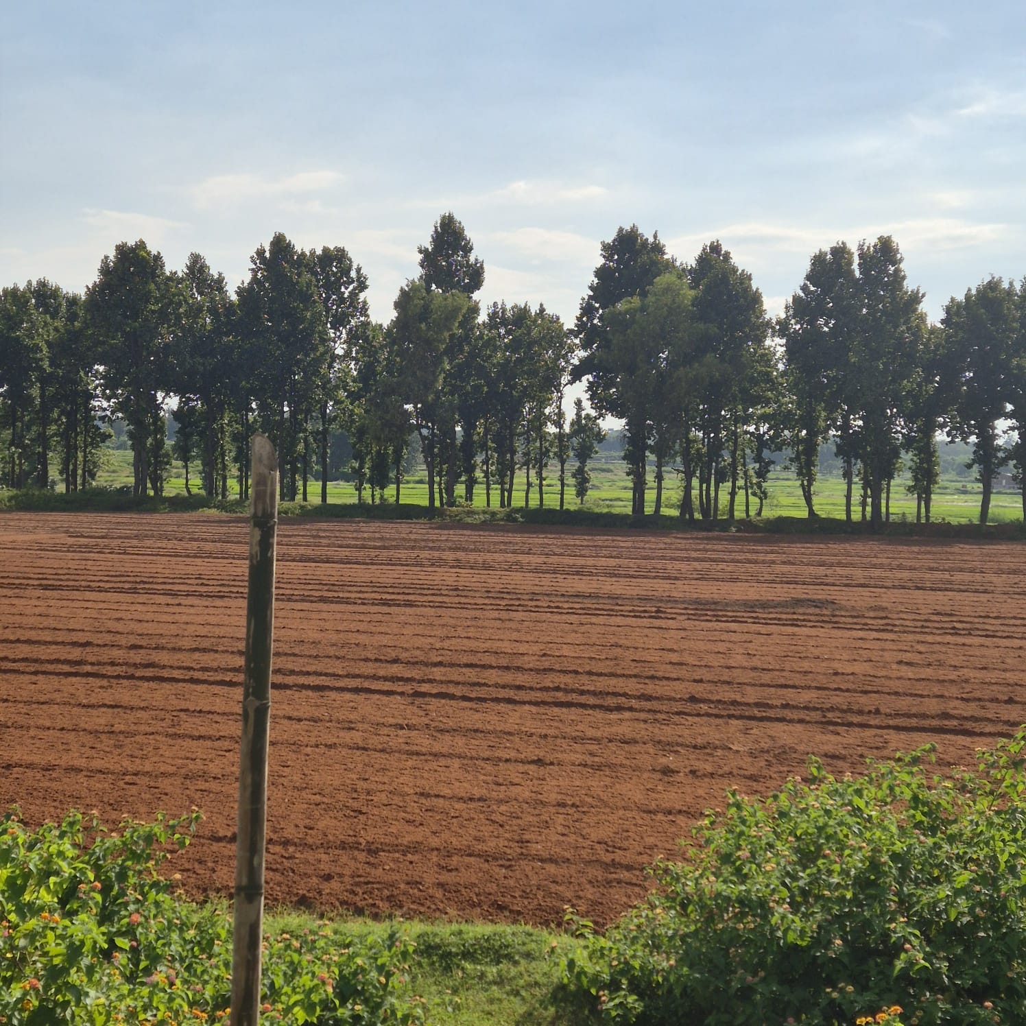 OTHERS USES- EDUCATIONAL INSTITUTE AND VACANT LAND for sale in Meru — photo 3