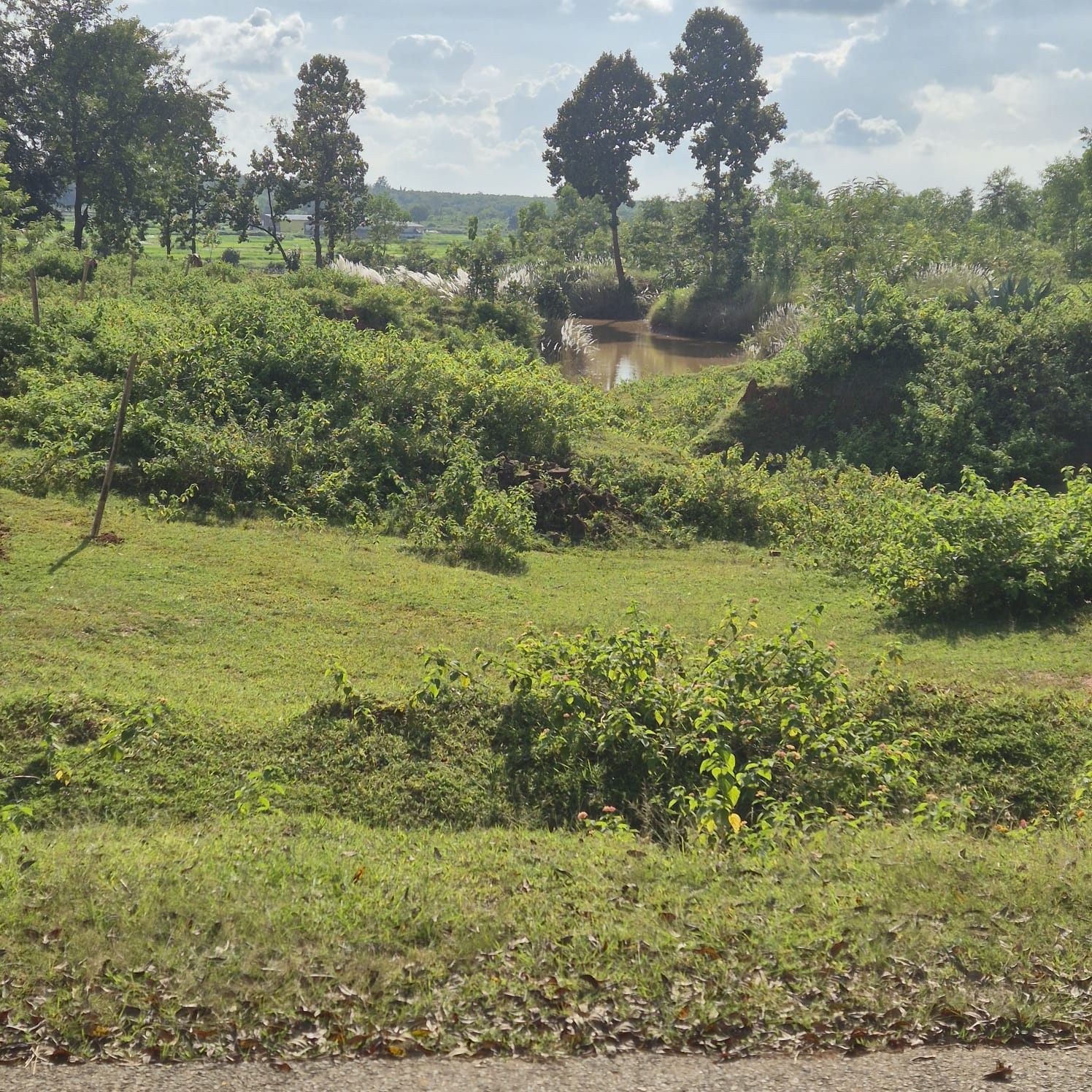 OTHERS USES- EDUCATIONAL INSTITUTE AND VACANT LAND for sale in Meru — photo 4