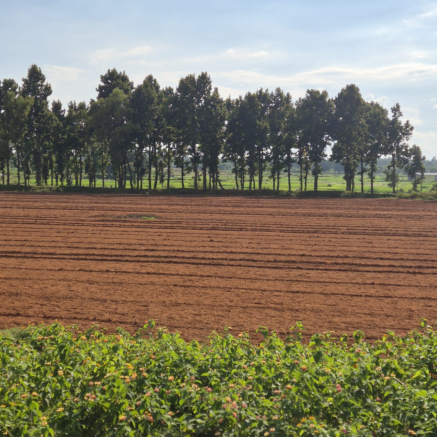 OTHERS USES- EDUCATIONAL INSTITUTE AND VACANT LAND for sale in Meru — photo 6