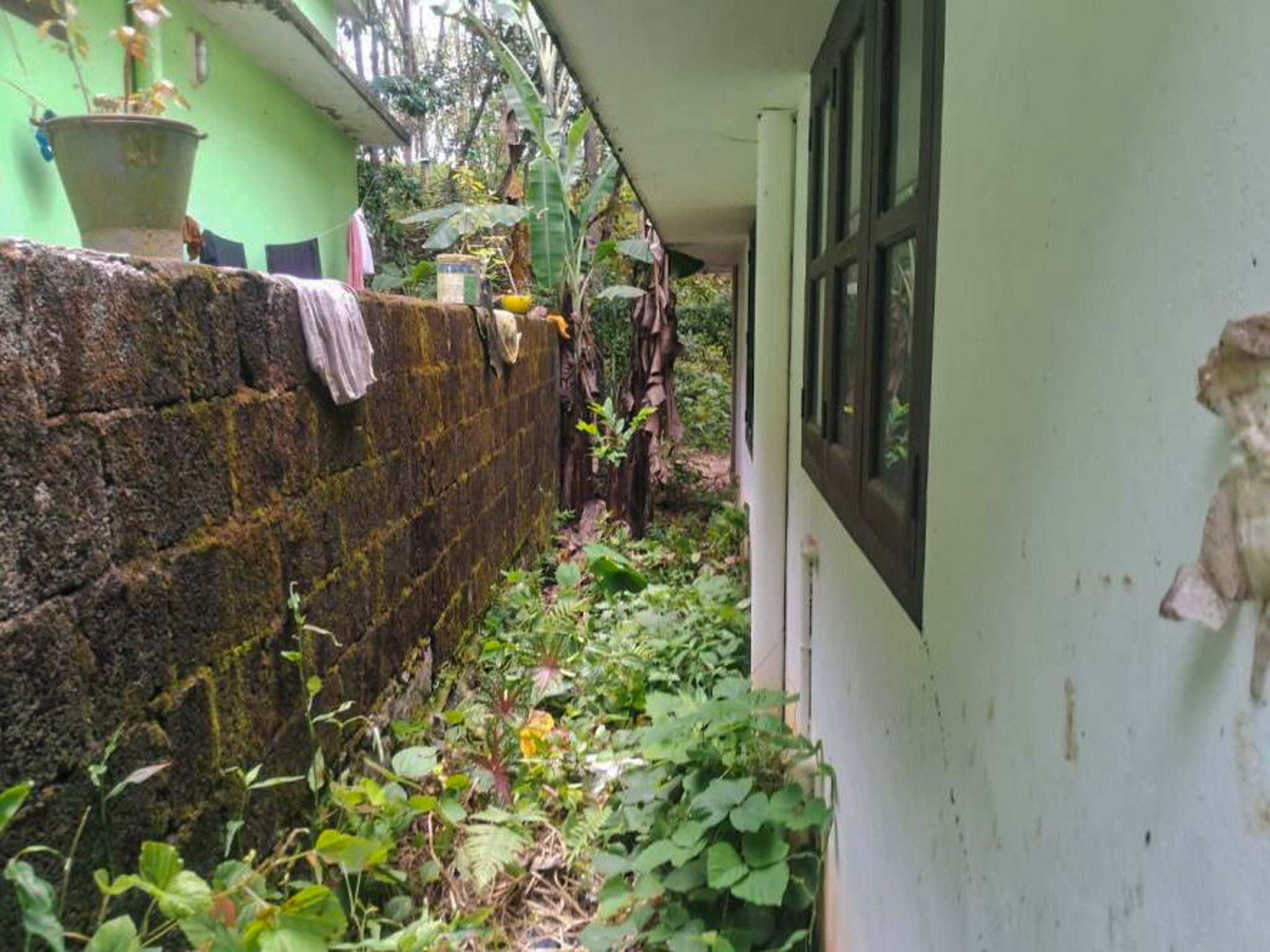 3 BHK Individual House for sale in NIL, Tholicode Karakulam — photo 4