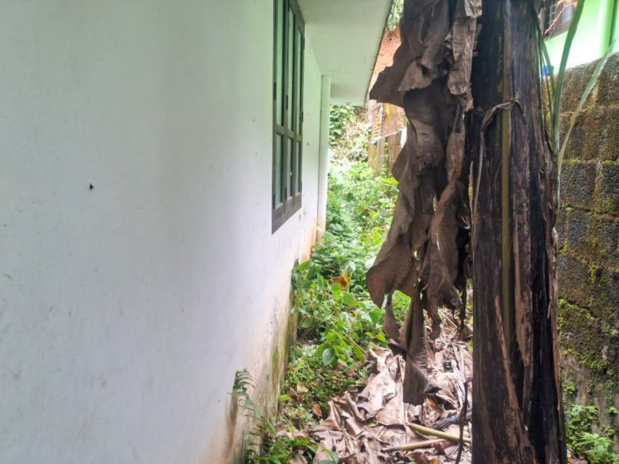 3 BHK Individual House for sale in NIL, Tholicode Karakulam — photo 7
