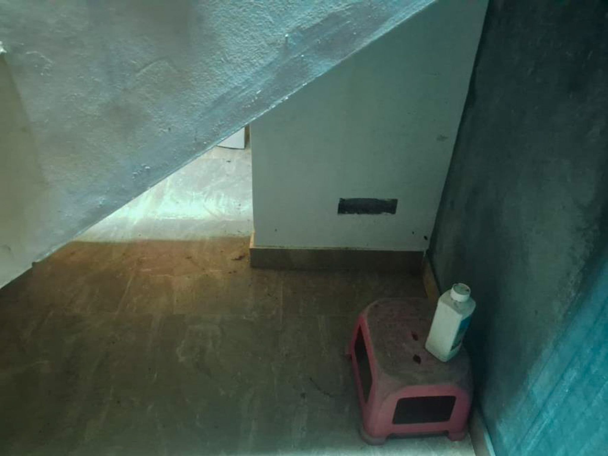 3 BHK Individual House for sale in NIL, Tholicode Karakulam — photo 8