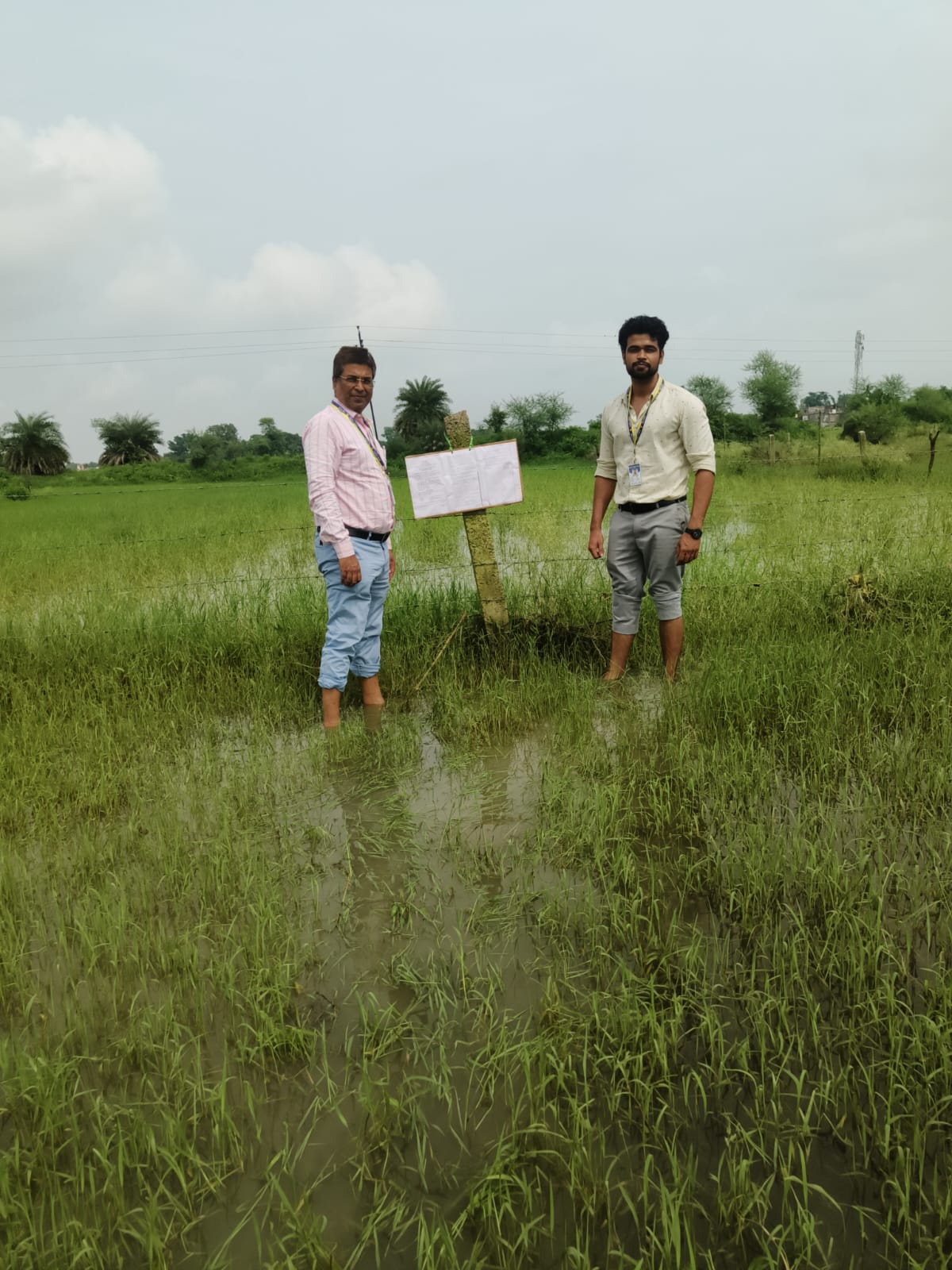 13068 square feet Plot for sale in Satna — photo 3