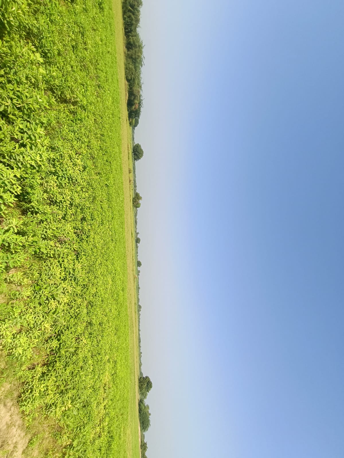 Agriculture Land for sale in Kointiya Vani — photo 2