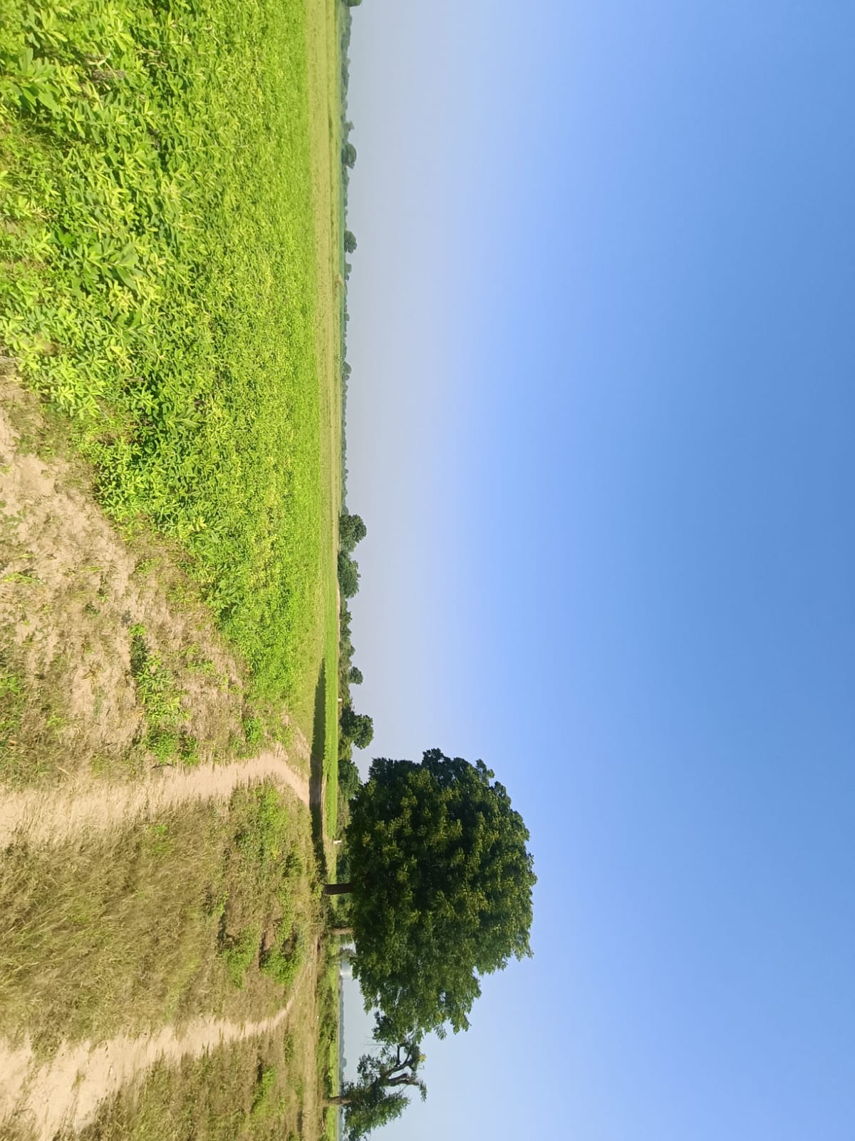 Agriculture Land for sale in Kointiya Vani — photo 4
