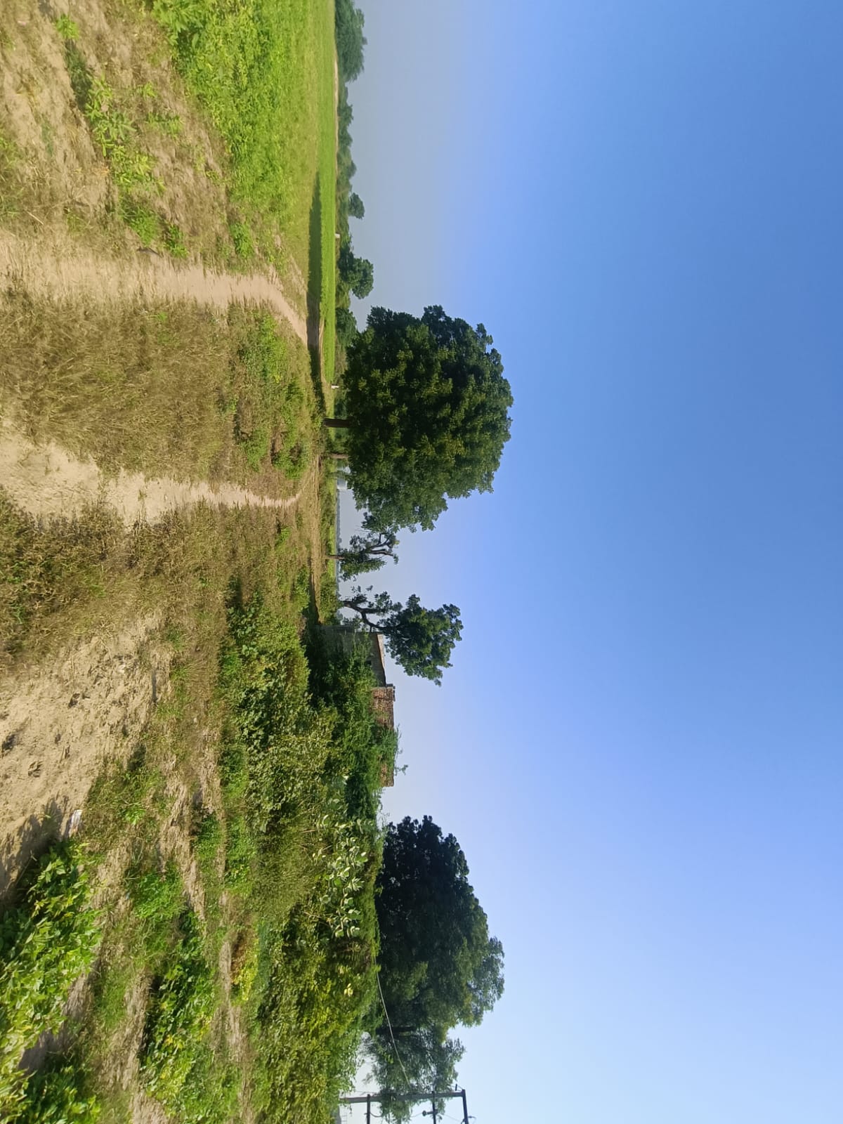 Agriculture Land for sale in Kointiya Vani — photo 8