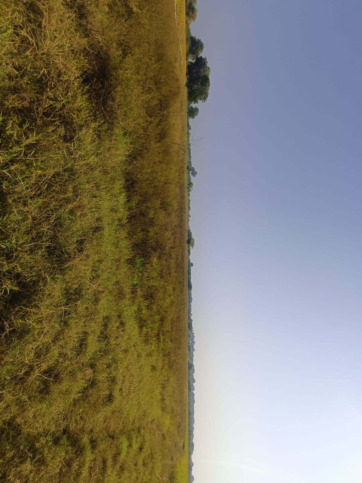 66495 square meter Agriculture Land for sale in Boska Vani — photo 3