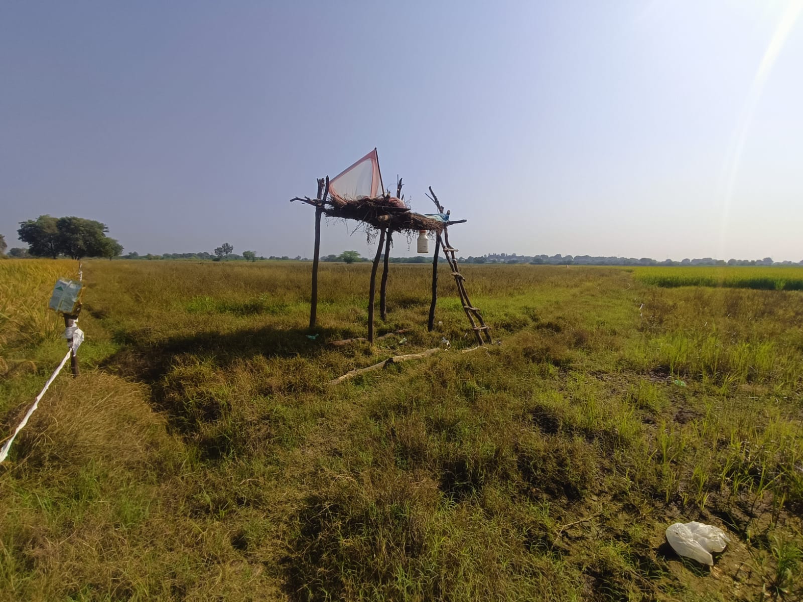 61551 square meter Agriculture Land for sale in Boska Vani — photo 2