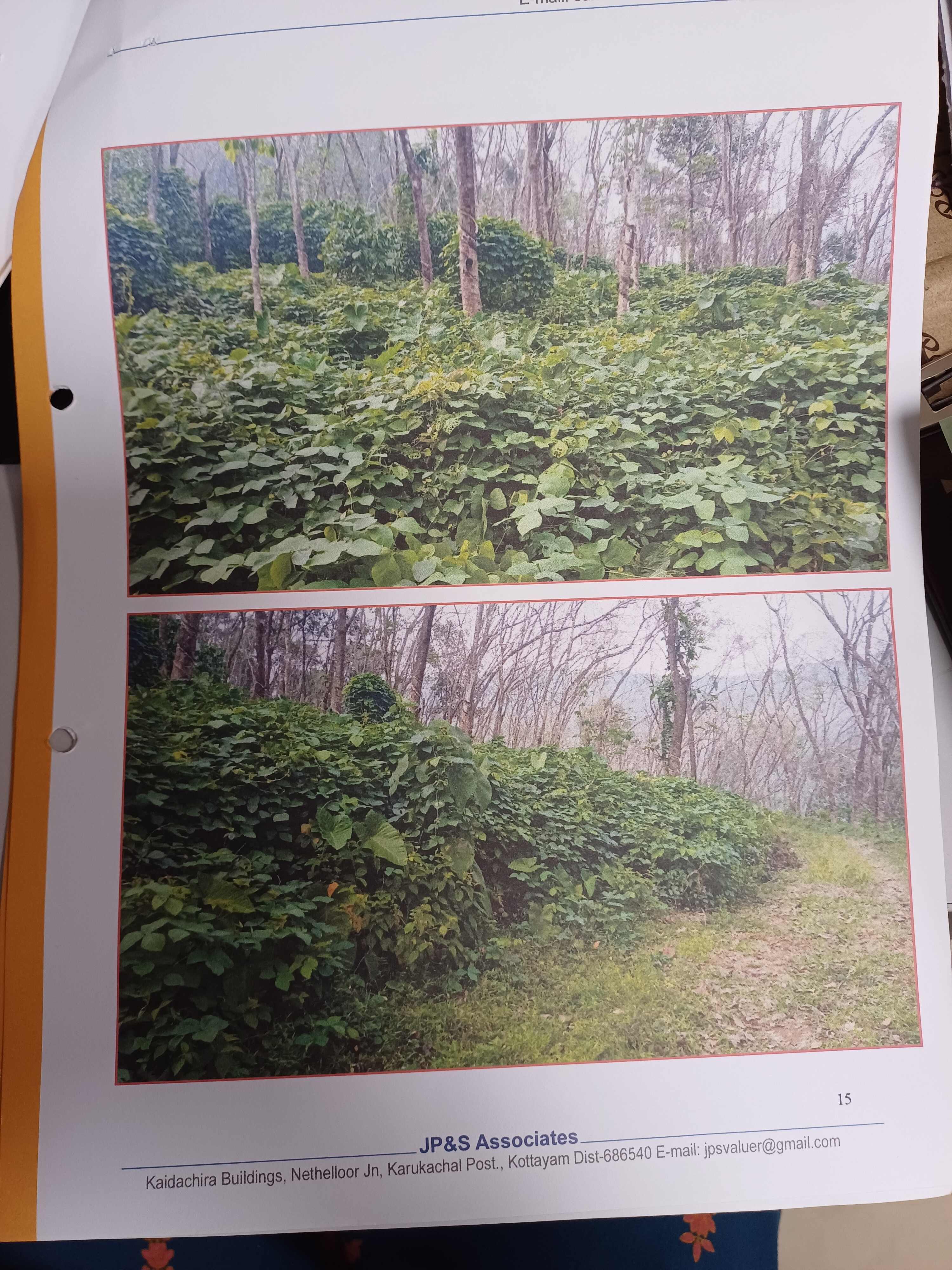Other for sale in Chalakudy