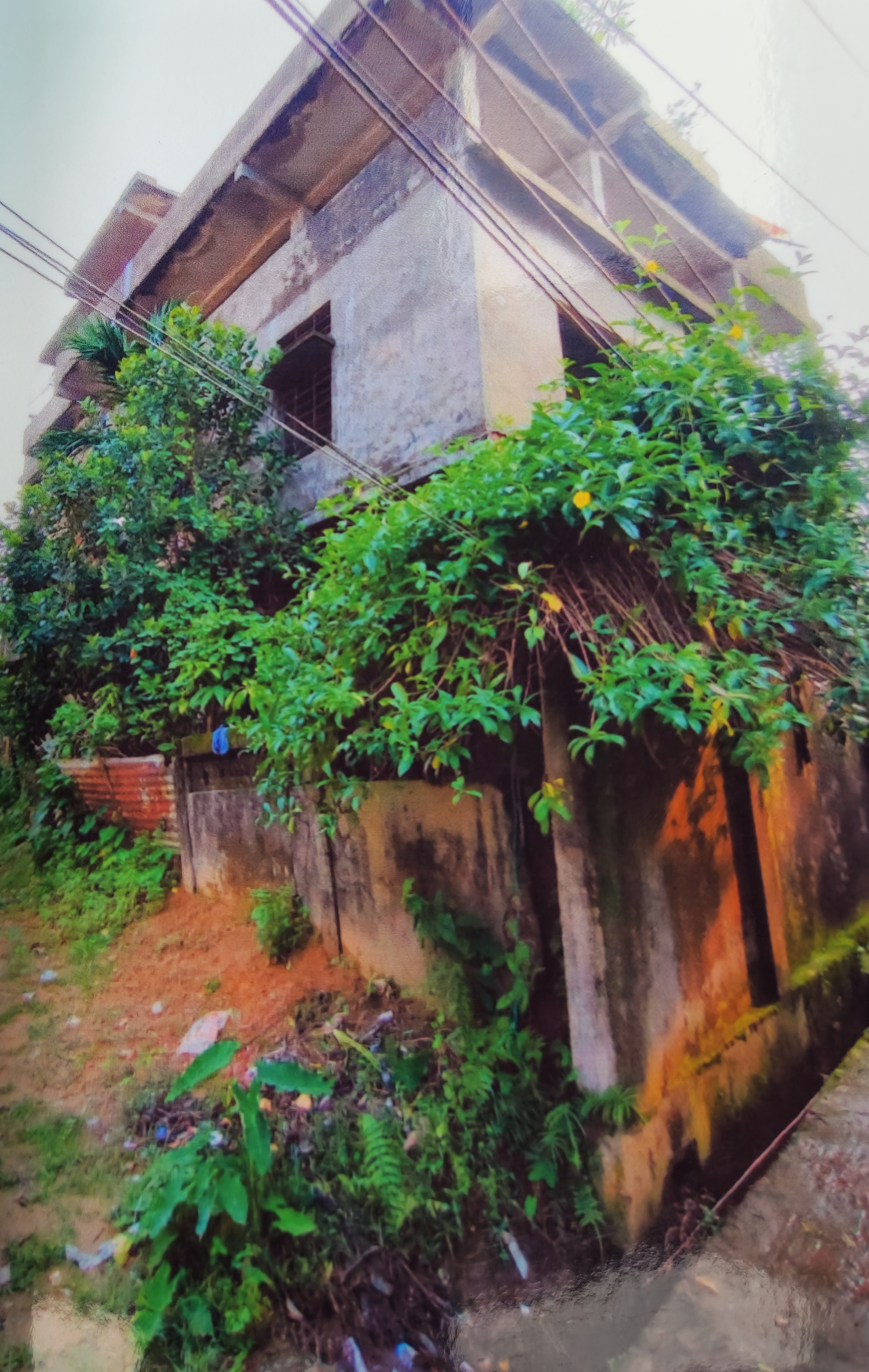 Individual House for sale in Karimganj — photo 3