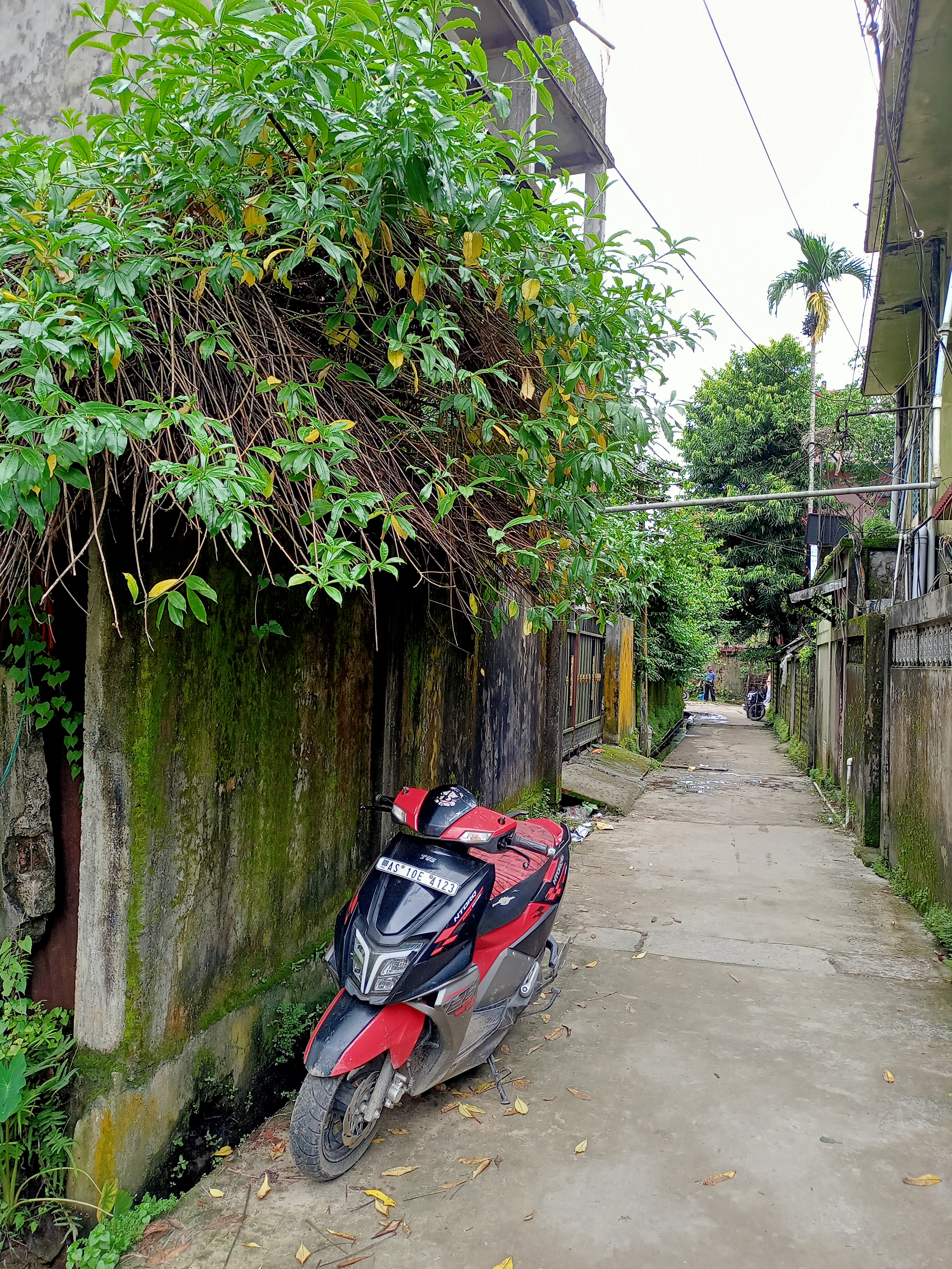Individual House for sale in Karimganj — photo 6