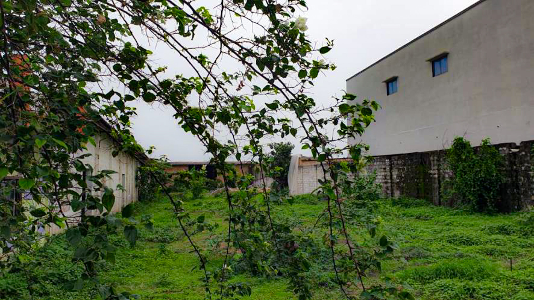 Shed with Plant and Machinery for sale in Shil — photo 3