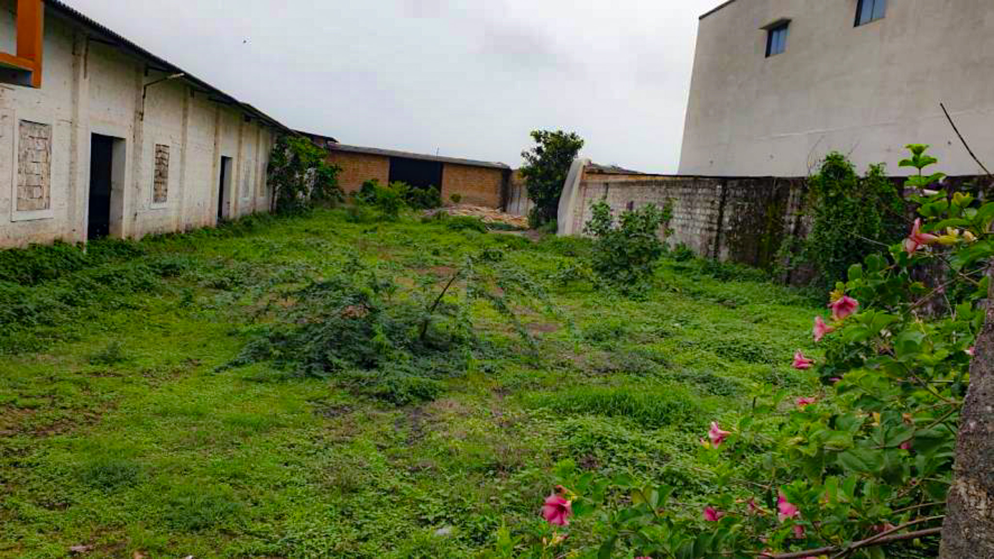 Shed with Plant and Machinery for sale in Shil — photo 6