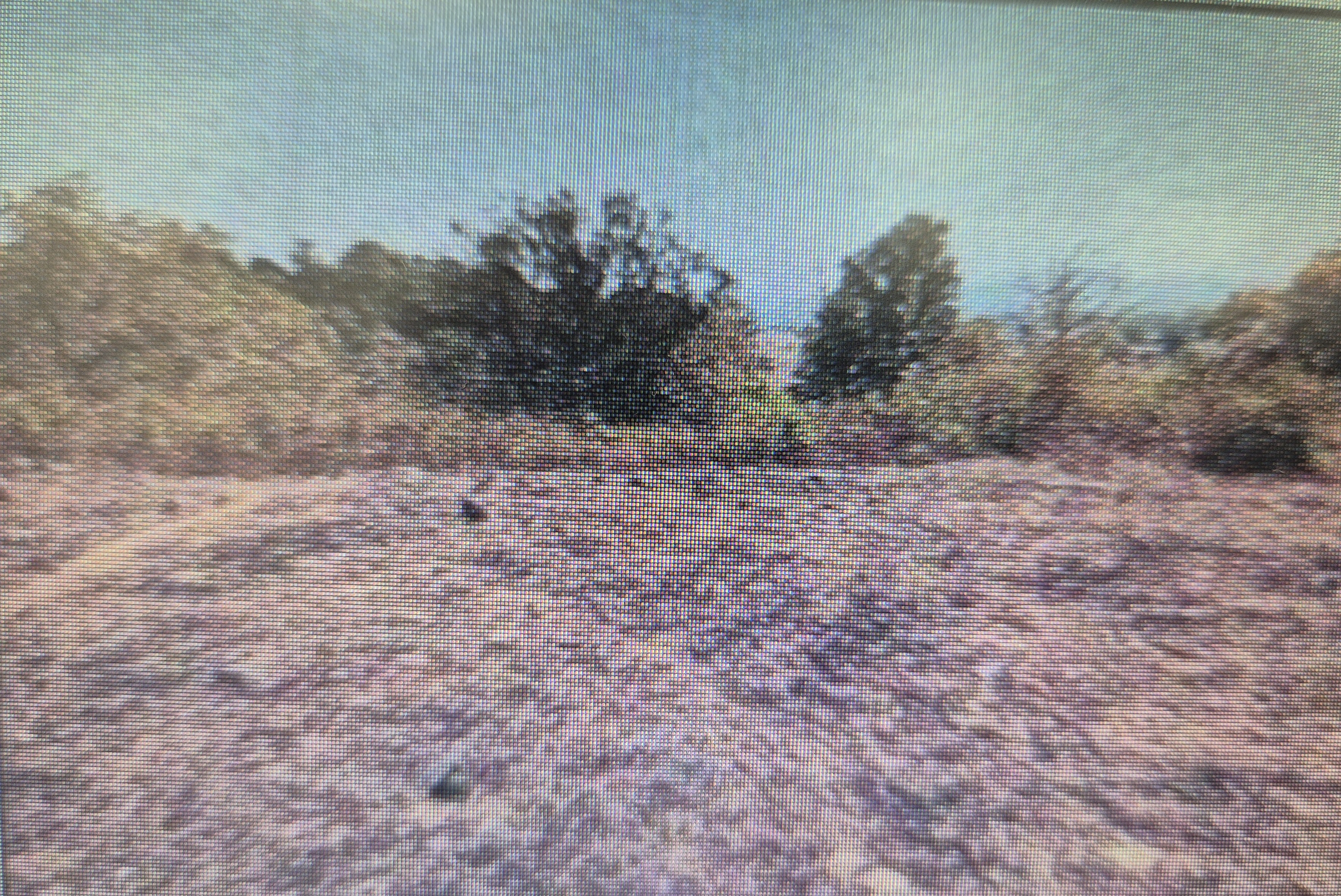 166.5 square meter Plot for sale in District Raigad Pali — photo 1