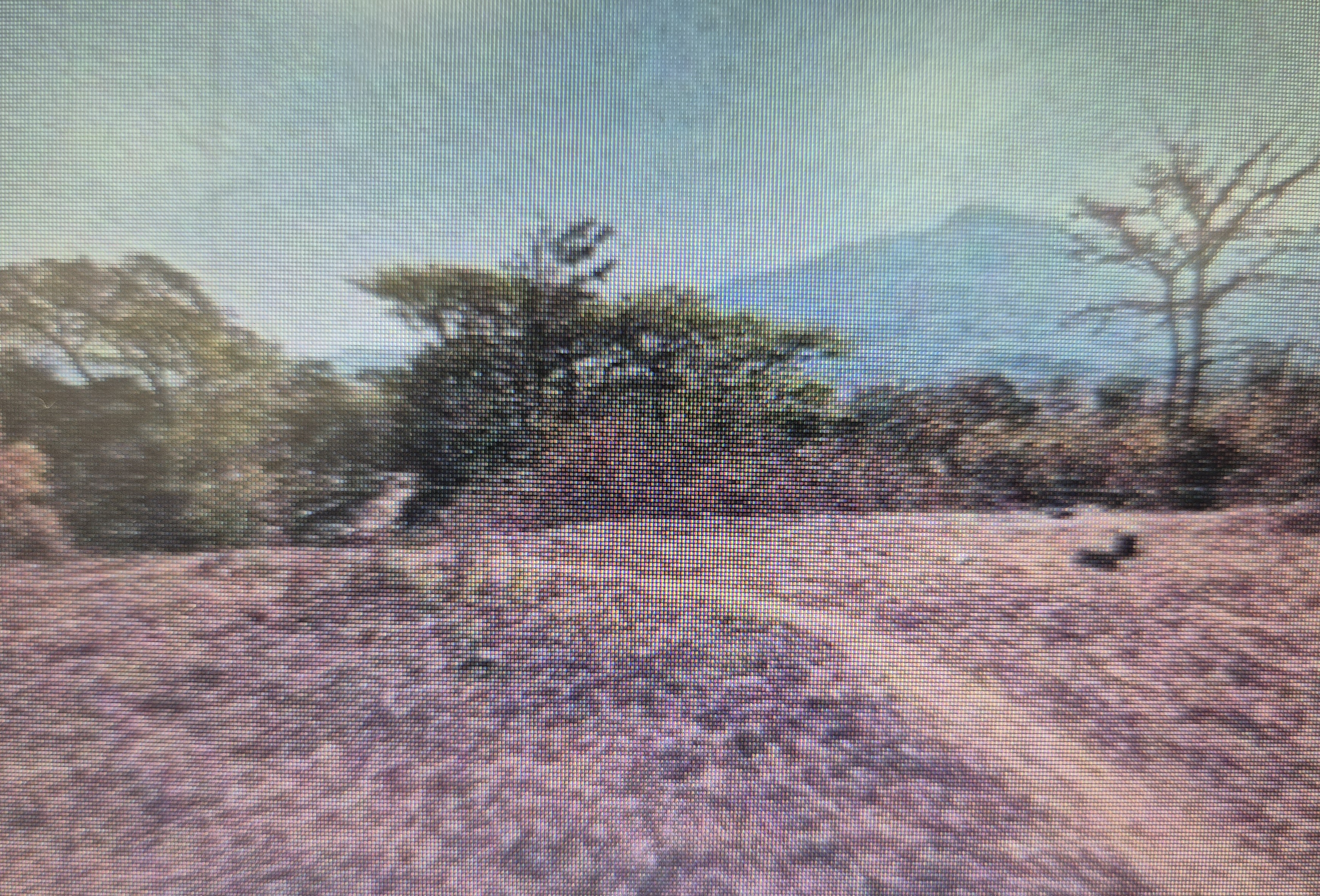 166.5 square meter Plot for sale in District Raigad Pali — photo 4