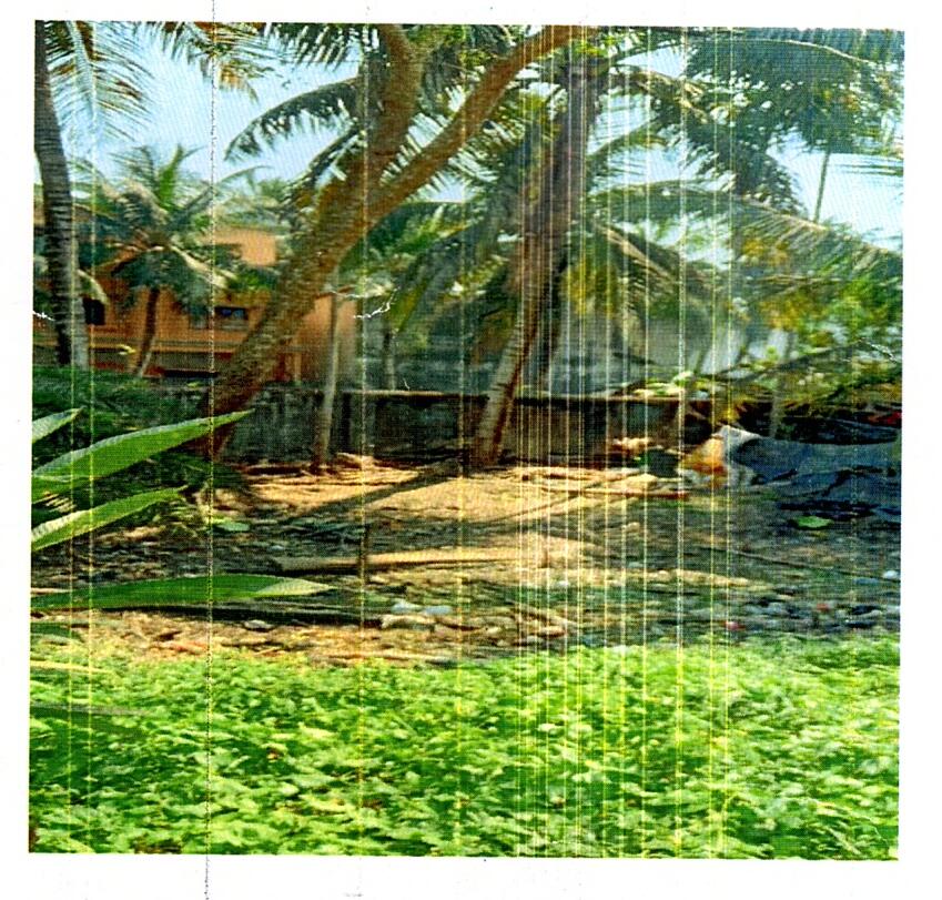3484.48 square feet Plot for sale in NA, Kakdwip, South 24 Pgs KAKDWIP
