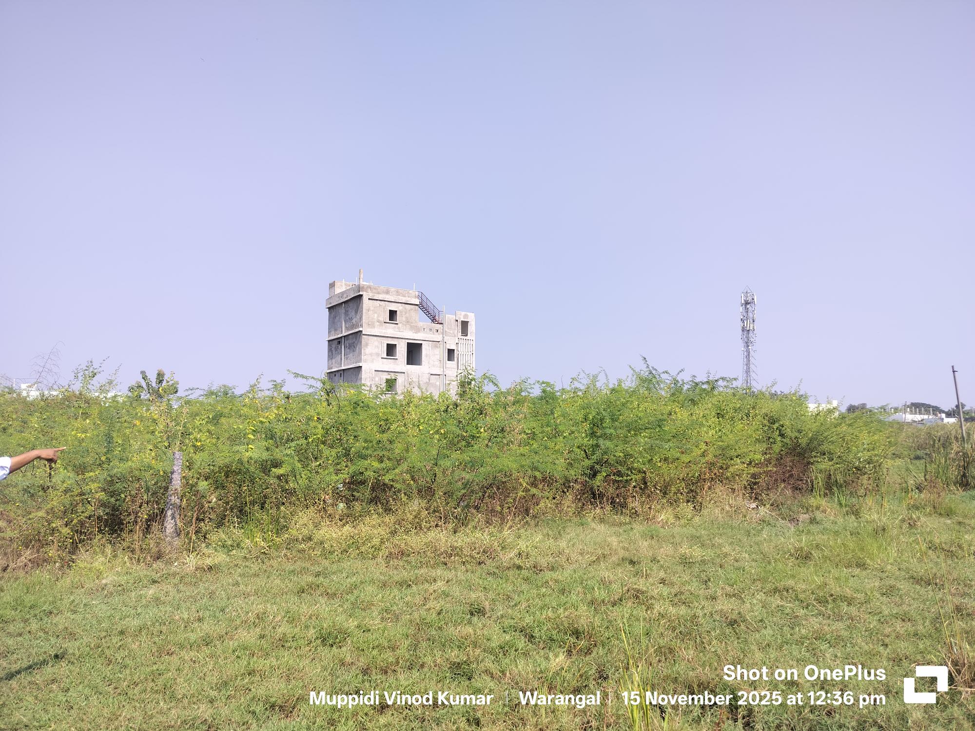 300 square yard Plot for sale in PLOT NO 47 GORRE KUNTA VILLAGE GESSUGONDA MANDAL WARANGAL DIST 506002 Hanumakonda