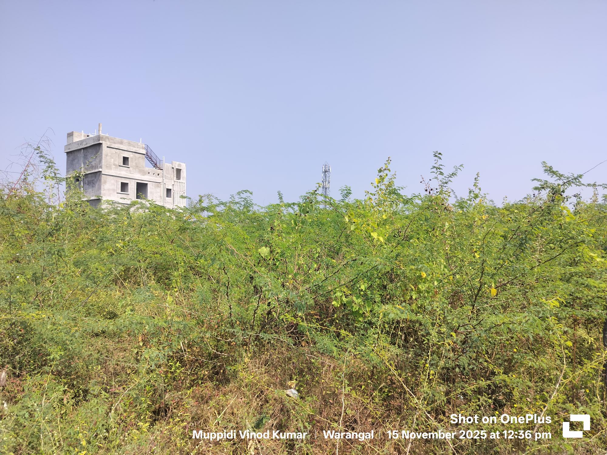 300 square yard Plot for sale in PLOT NO 47 GORRE KUNTA VILLAGE GESSUGONDA MANDAL WARANGAL DIST 506002 Hanumakonda — photo 3