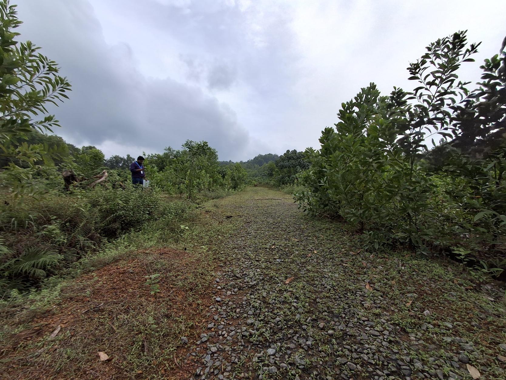 Plot for sale in THENKAYEDAPADAVU VILLAGE, SHIBRIKERE POST Ganjimutt — photo 2