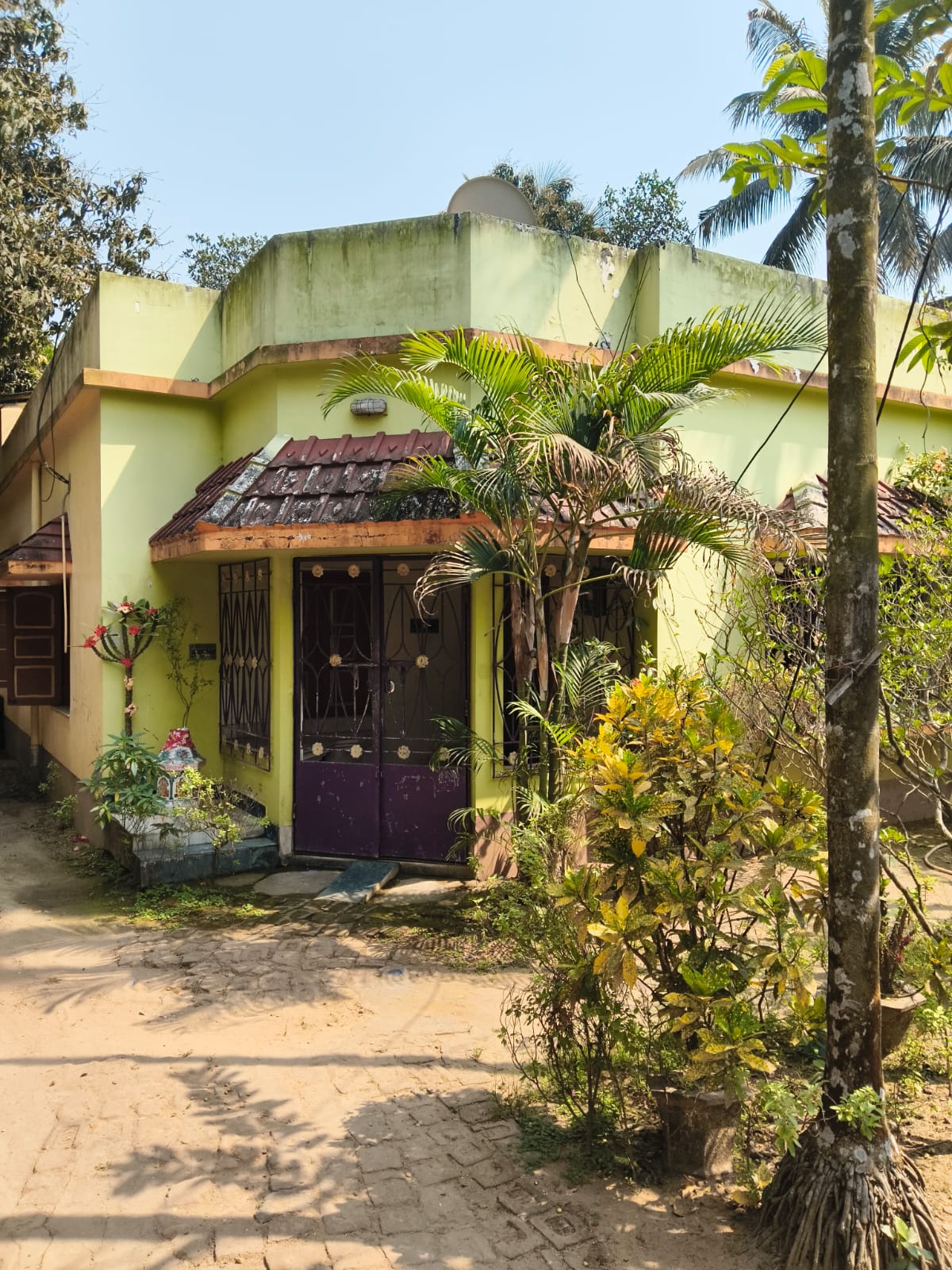 920 square feet Individual House for sale in Chaulia