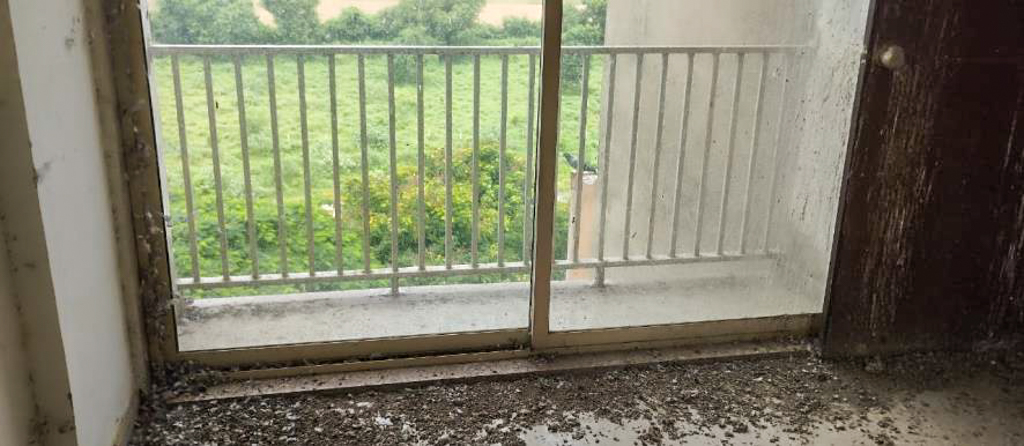 Flat for sale in Gandhinagar. — photo 10
