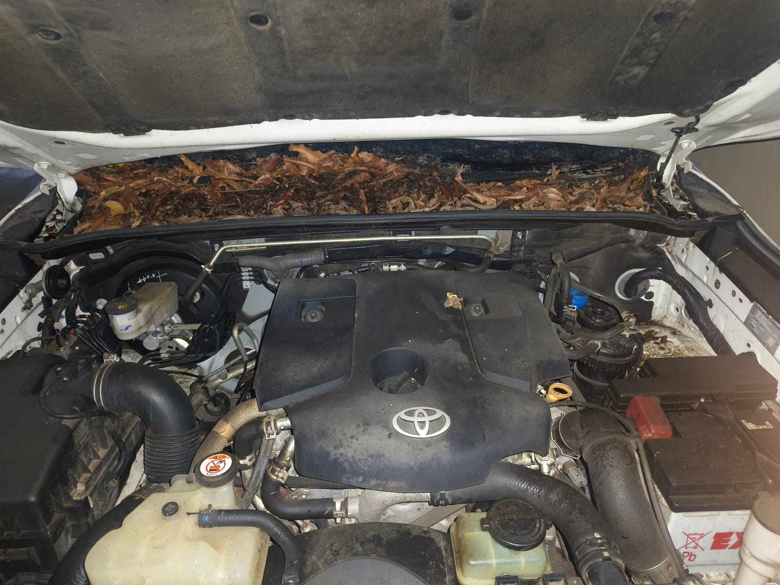 2024 Toyota Legender 4x2 Diesel AT SUV 30000 km 2 years for sale in LODHA BMC PARKING Mumbai — photo 5