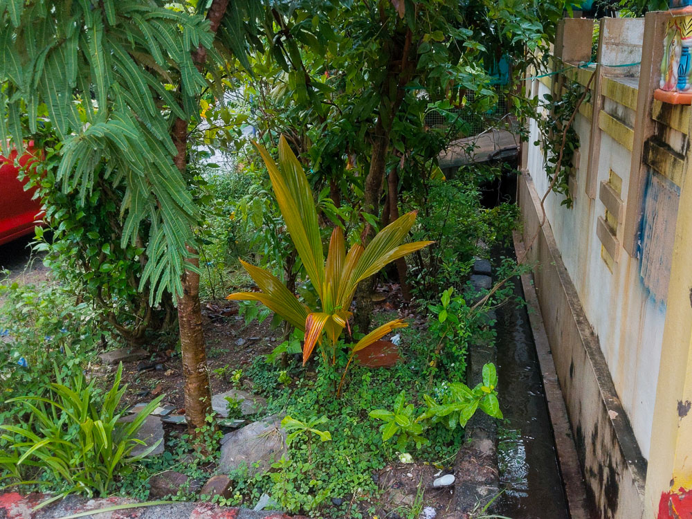 2 BHK Individual House for sale in INDIVIDUAL HOUSE, GUNTUR Guntur — photo 6