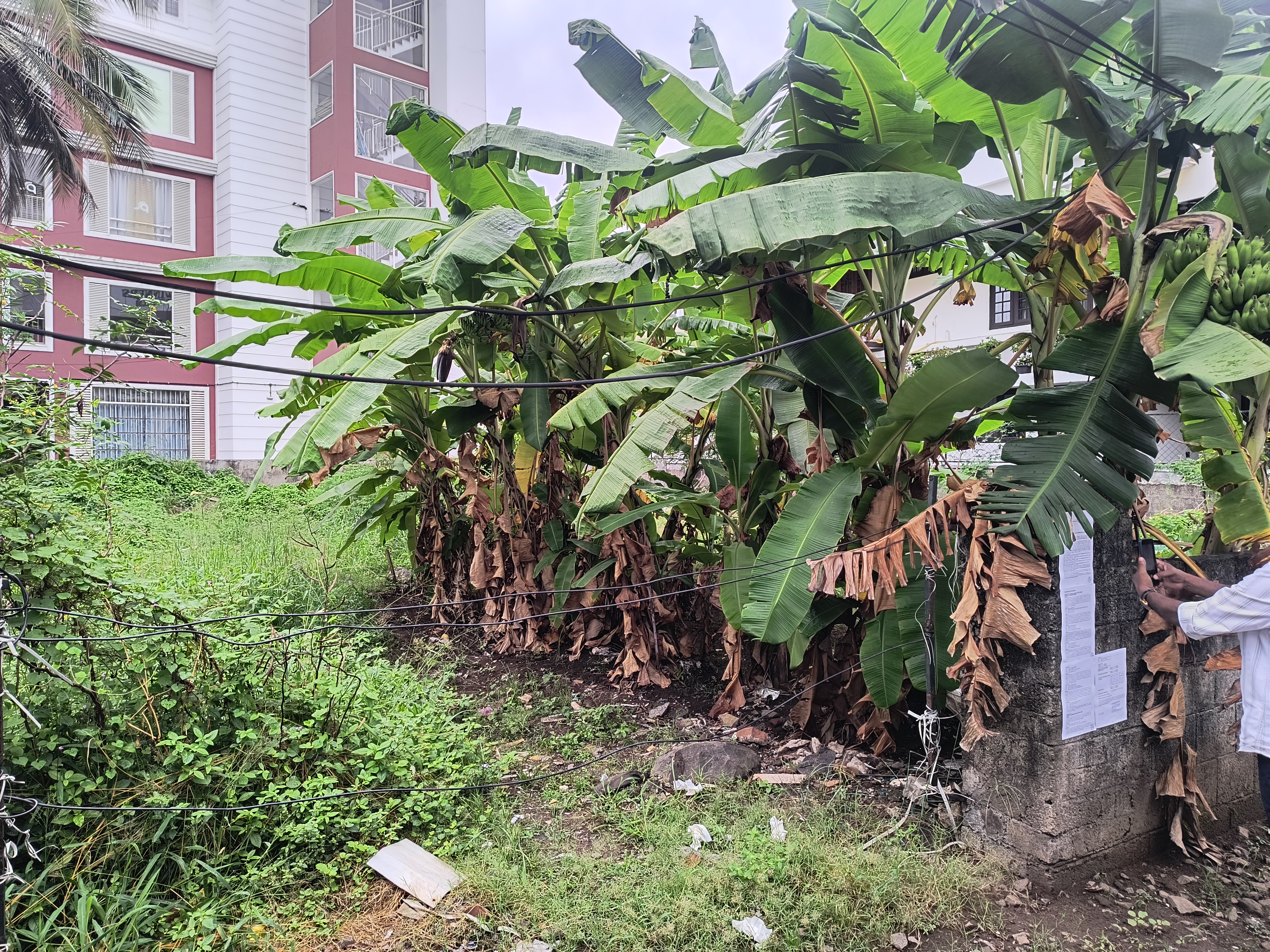 1 BHK Plot for sale in vacant land, KERALA Kochi — photo 3
