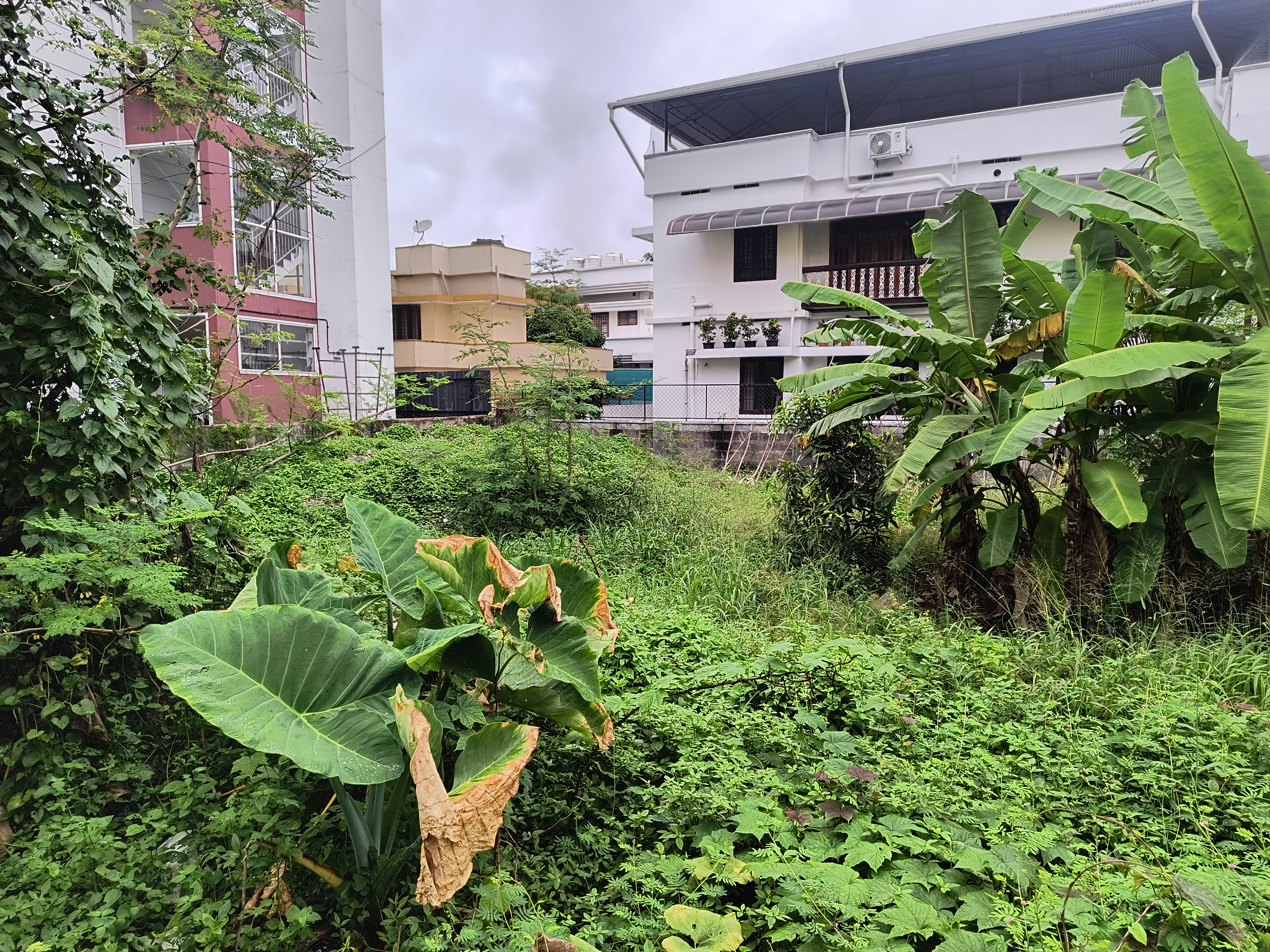 1 BHK Plot for sale in vacant land, KERALA Kochi — photo 7