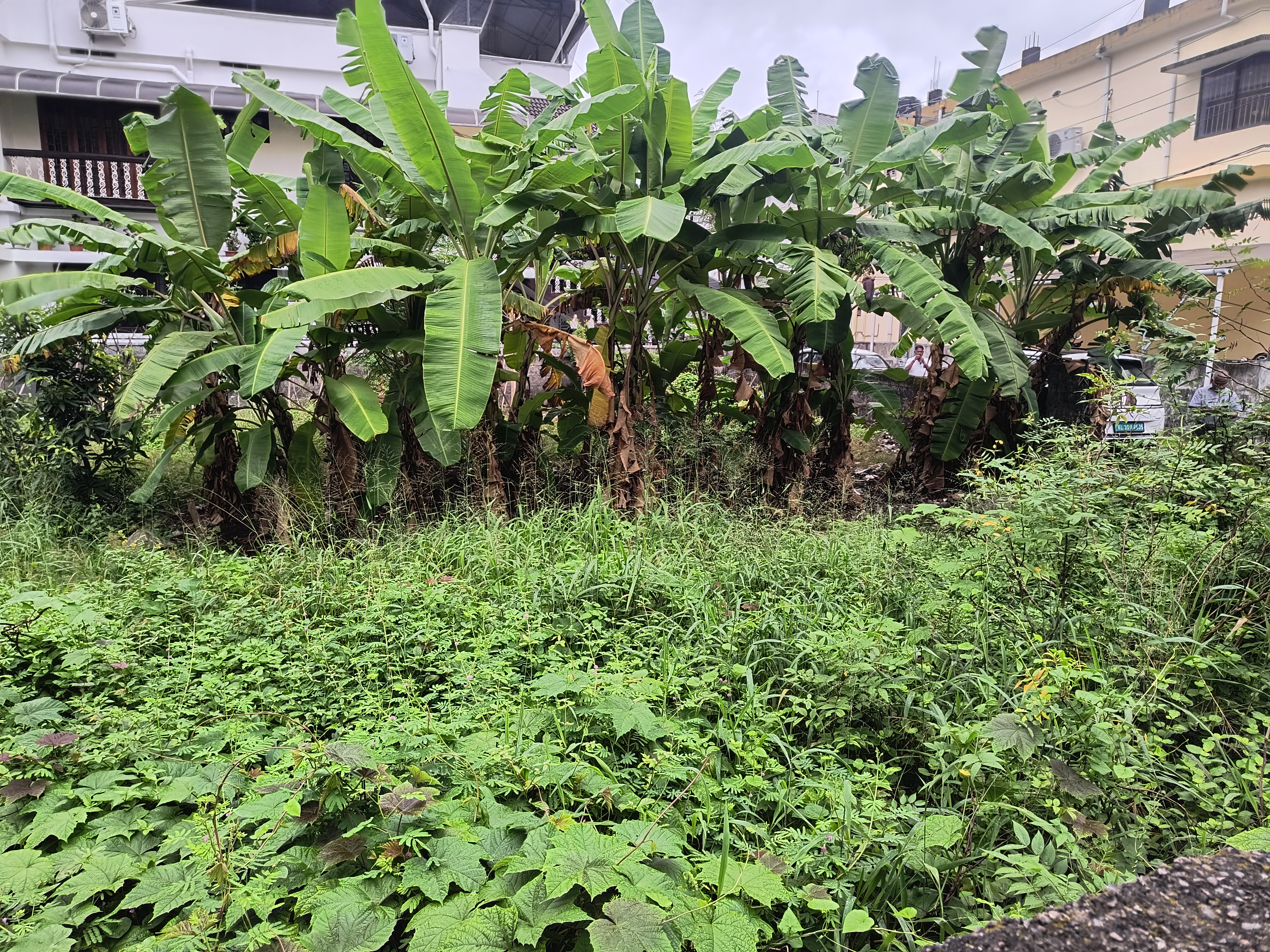 1 BHK Plot for sale in vacant land, KERALA Kochi — photo 8