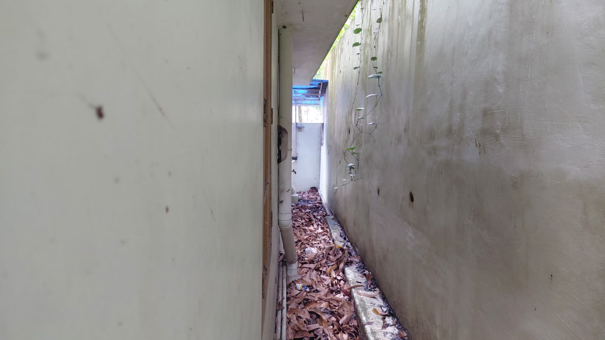 3 BHK Individual House for sale in PALLICHAL, 150m from Pallichal Thodu Jn, Pravachambalam Pallichal — photo 14
